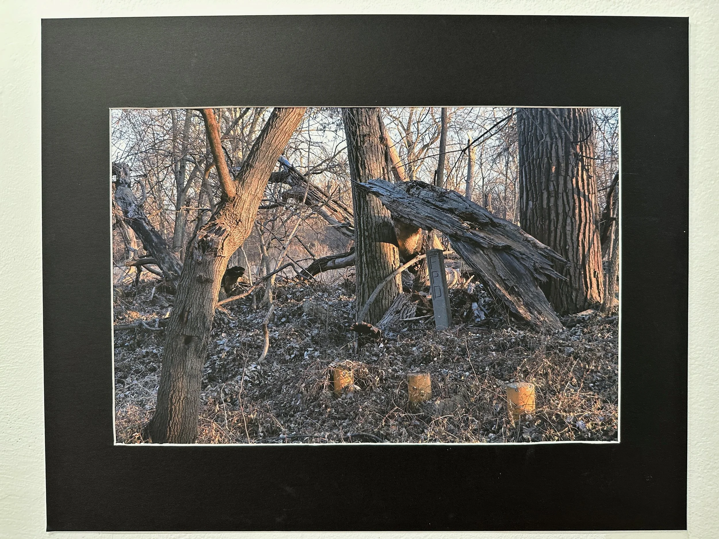 CHARLIE‬ ‭ BURKE