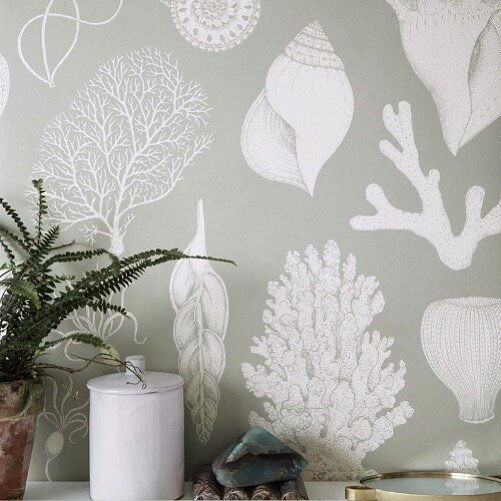 Get inspired by this wallpaper @fermliving 🌊

We love it! ✨😍