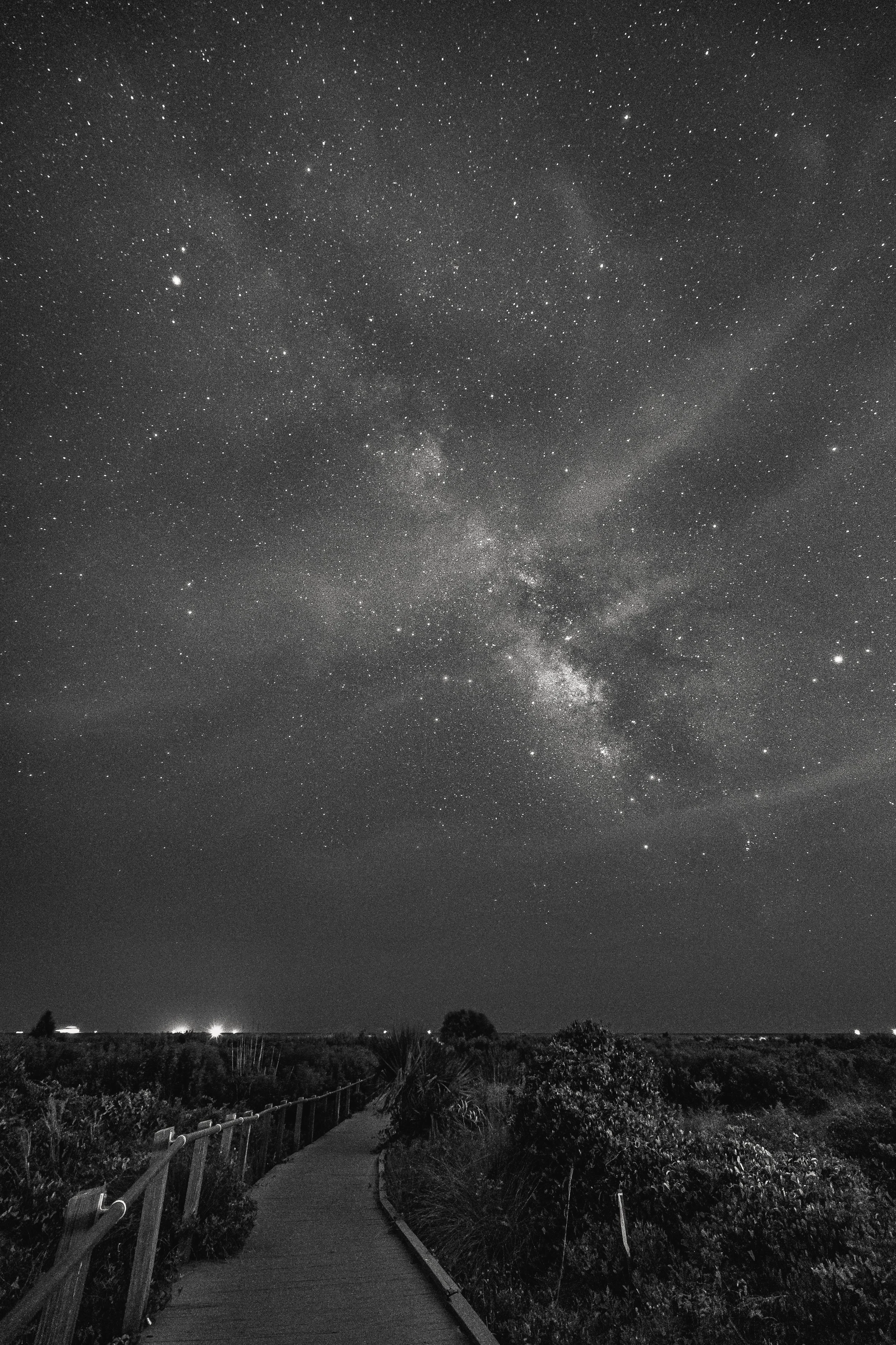 Human Error LOWRES.jpg