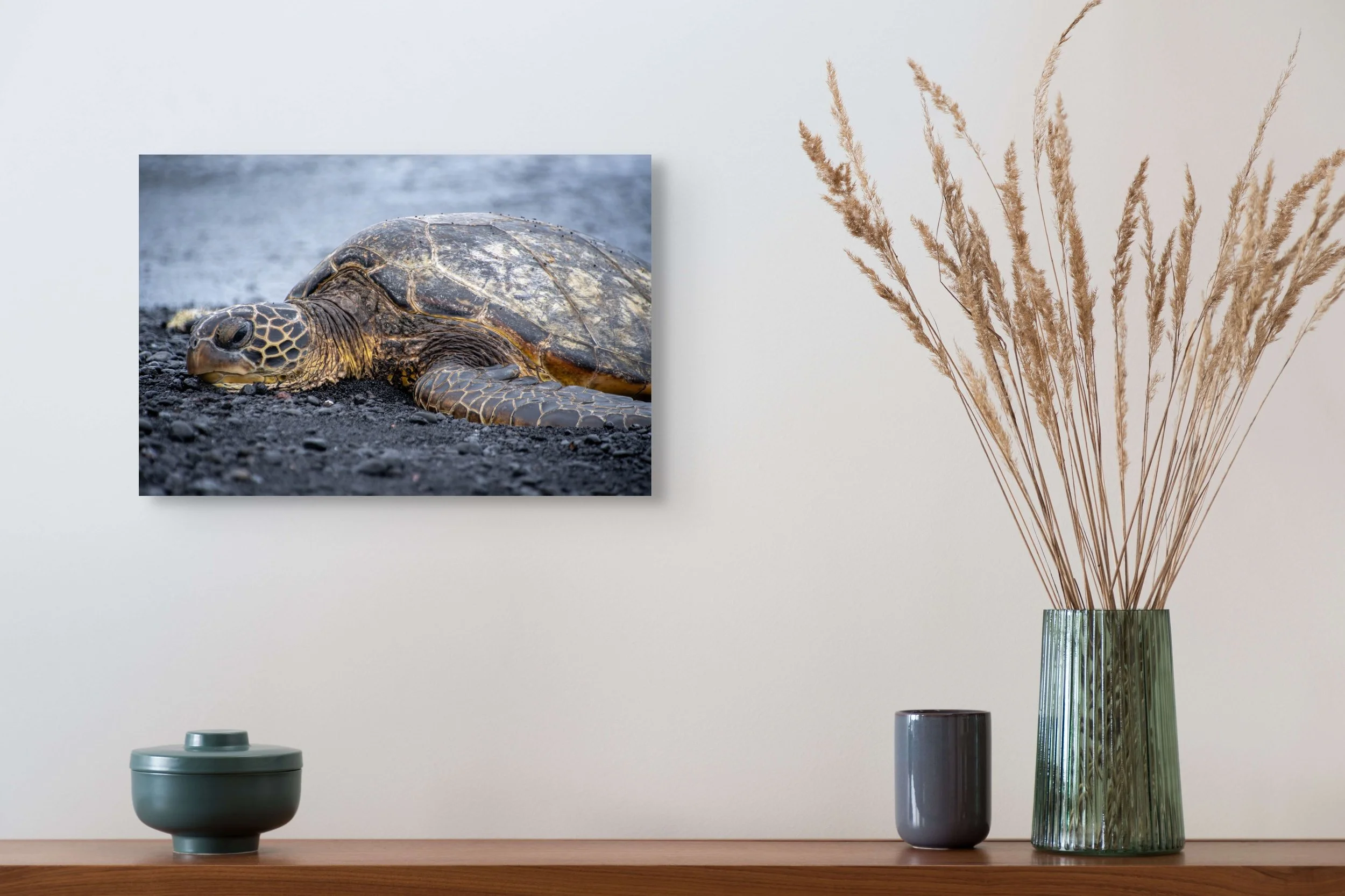 Sea Turtle Horizontal 12x18.jpg