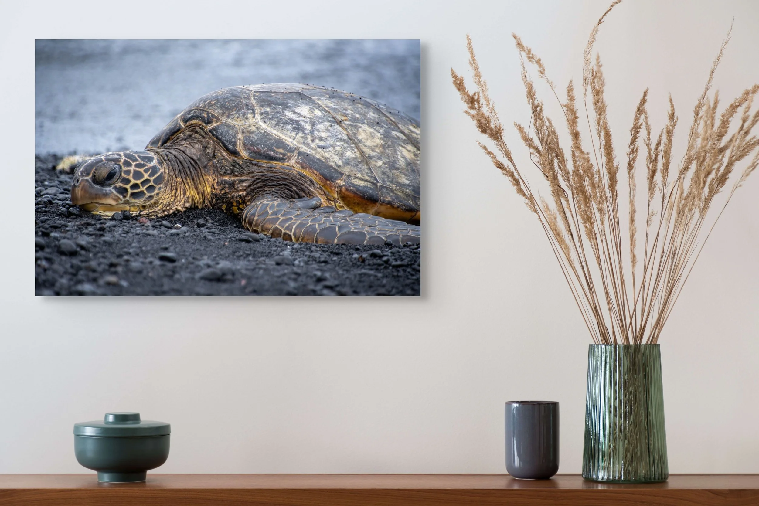 Sea Turtle Horizontal 16x24.jpg