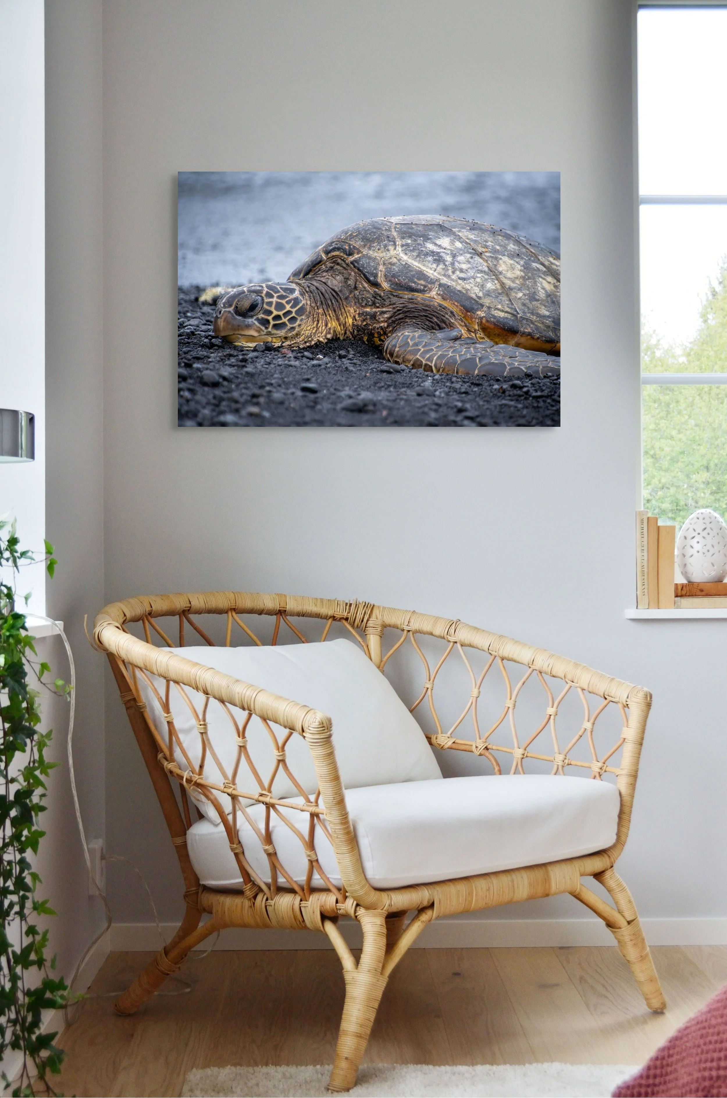 Sea Turtle Horizontal 20x30.jpg