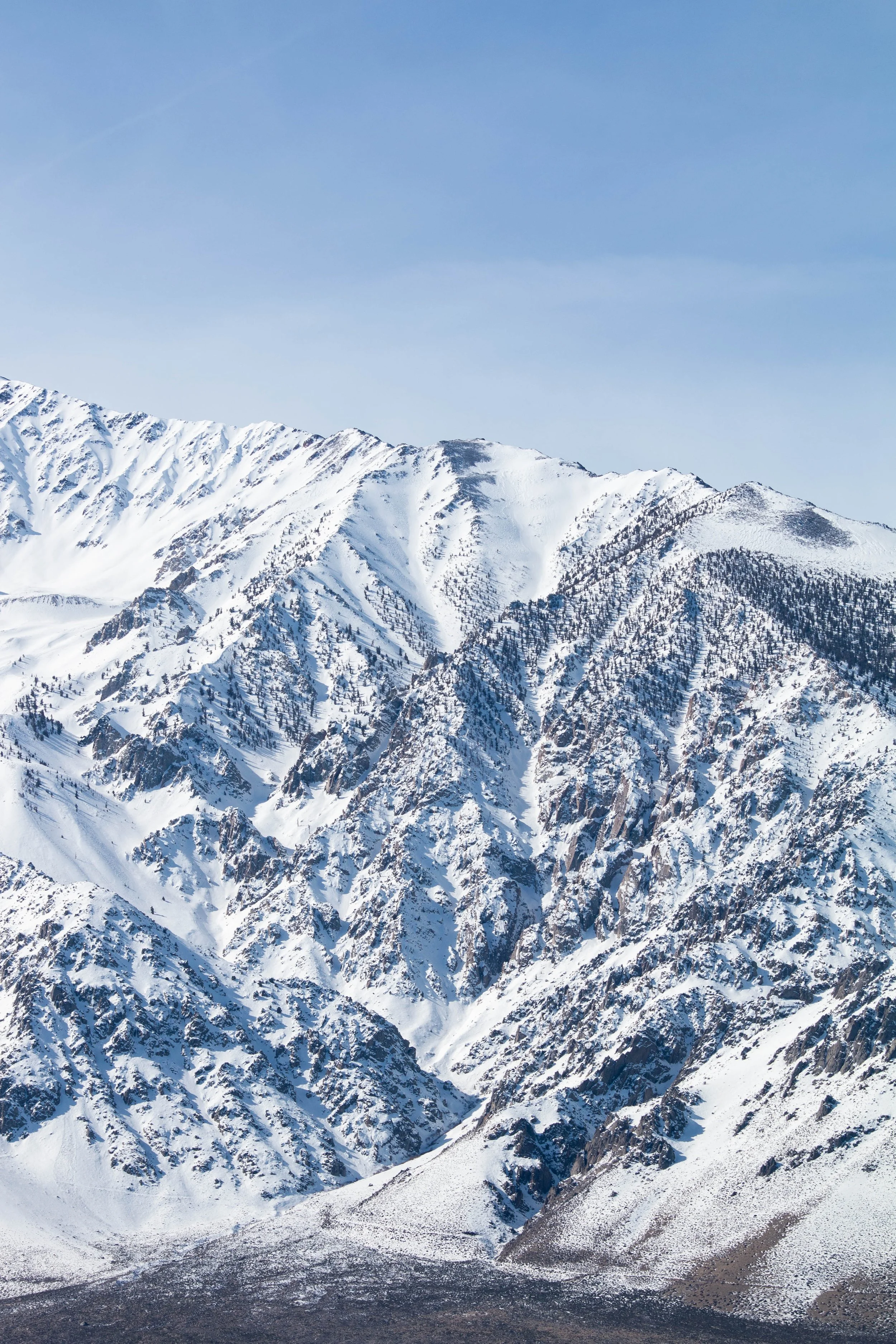 Mammoth Mountain.JPG