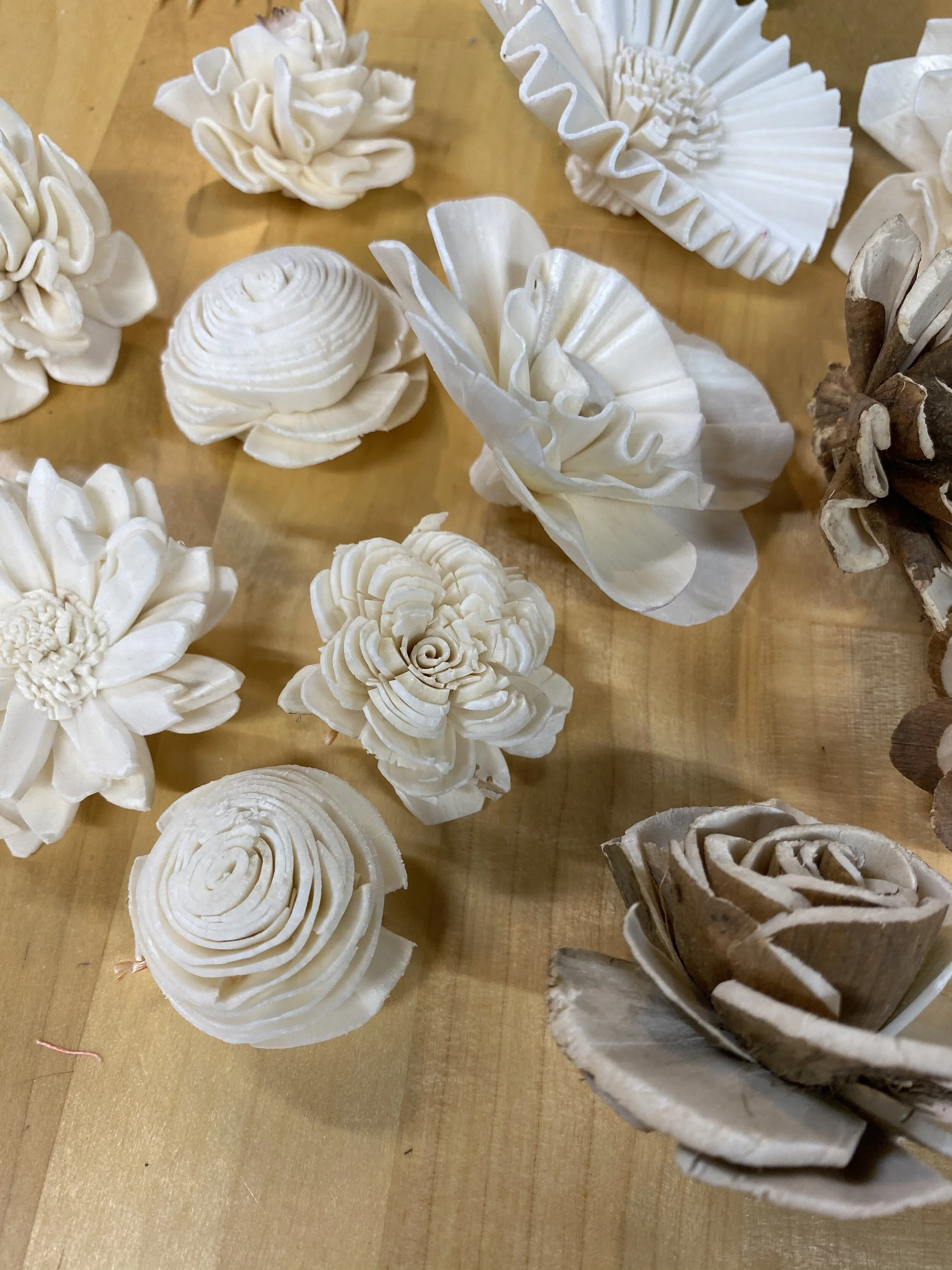 A61A17C0-8B57-4C70-B3A4-0E47B9AC70D1