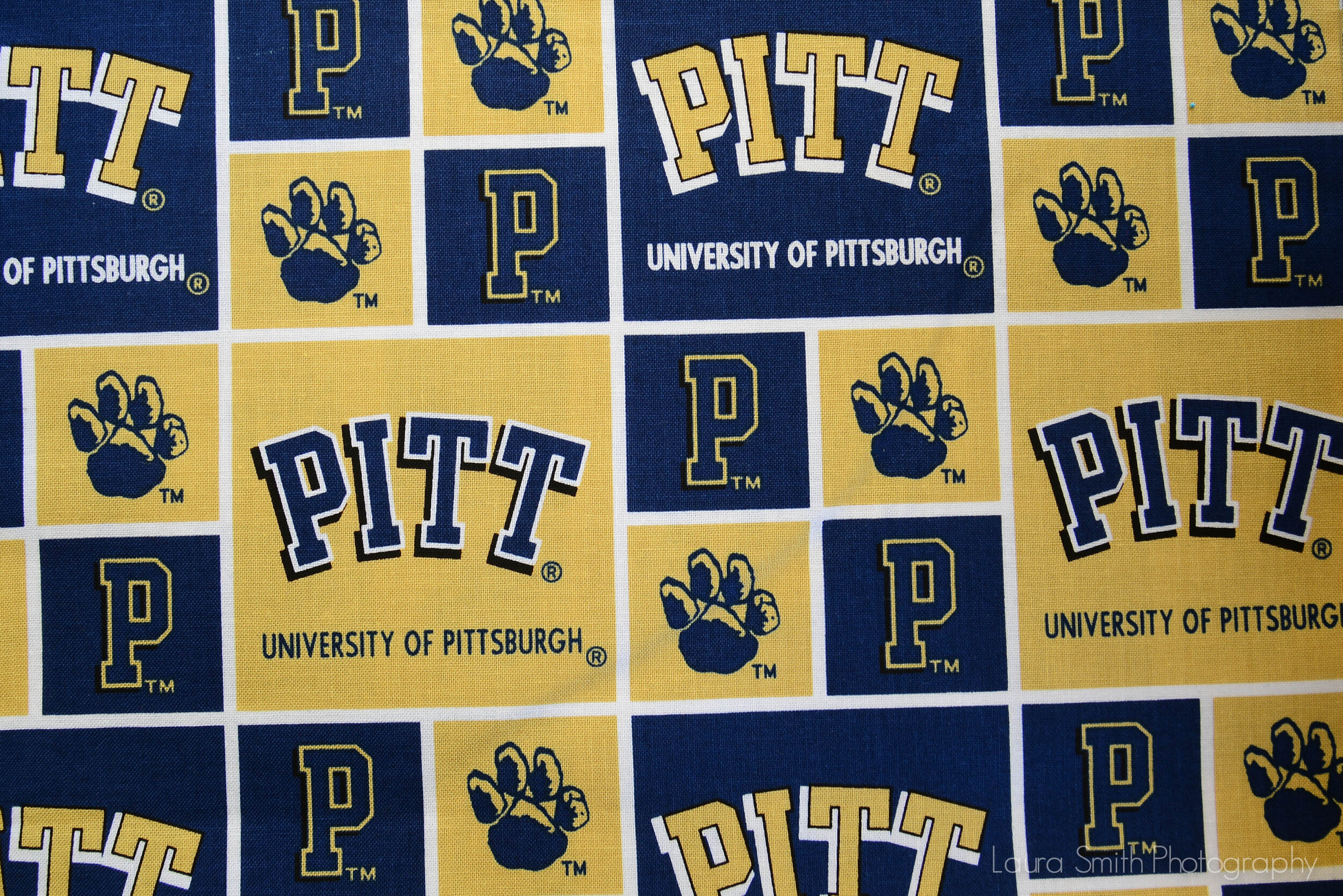 Pitt