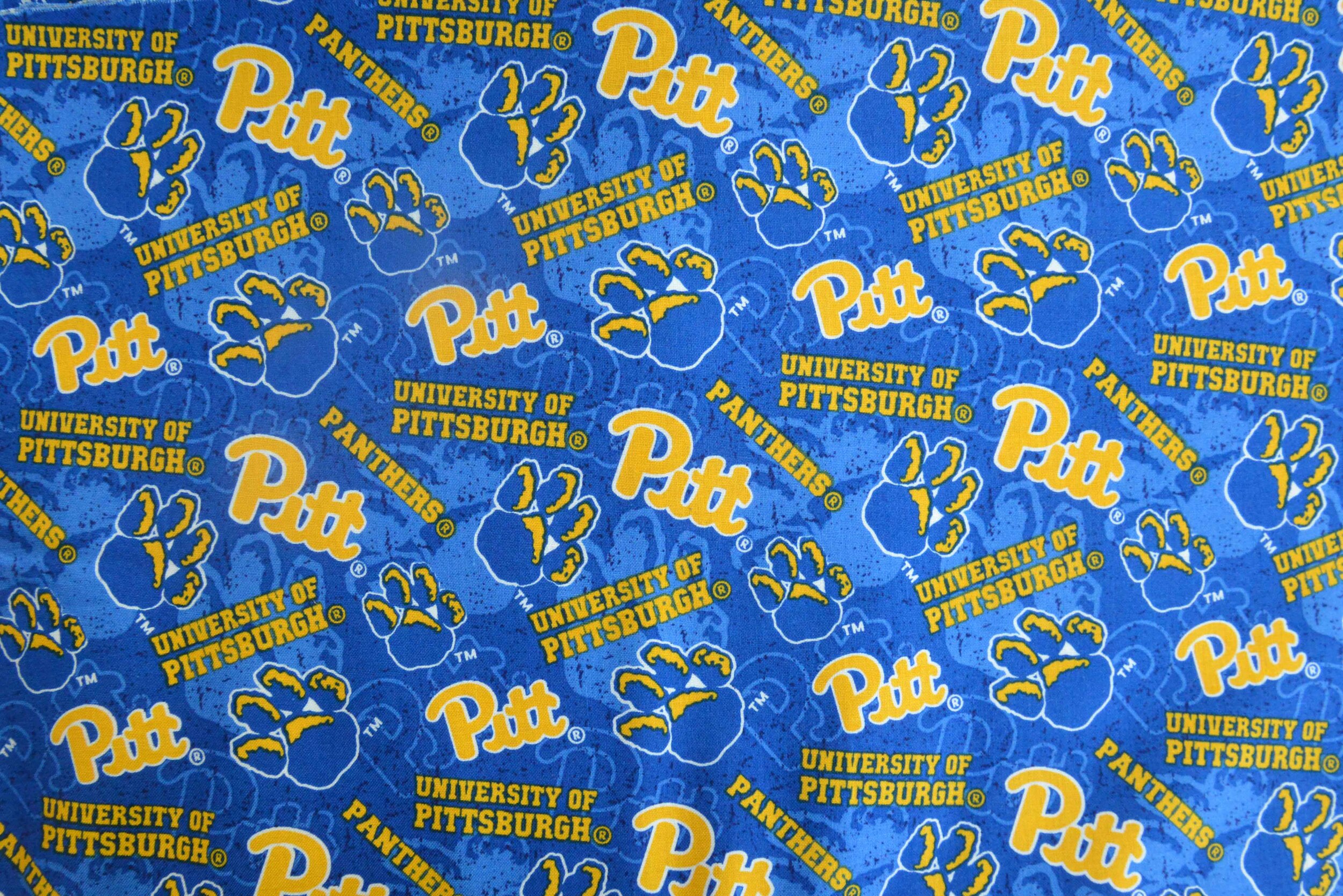 Pitt-New Colors