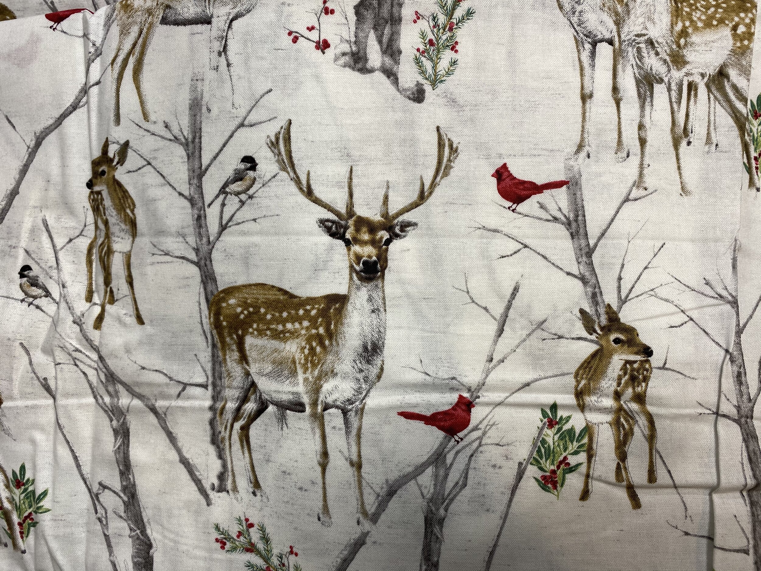 White Deer and Cardinals