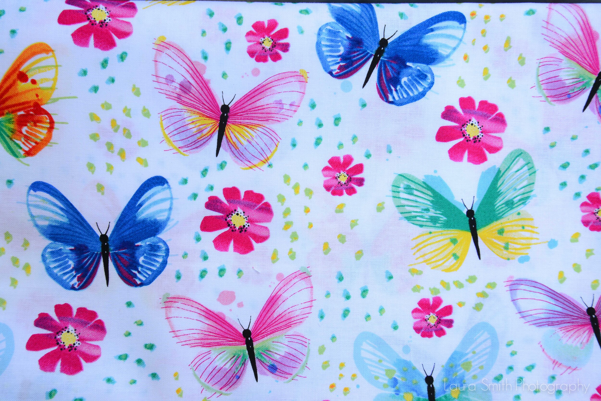 Butterfly w/ white background