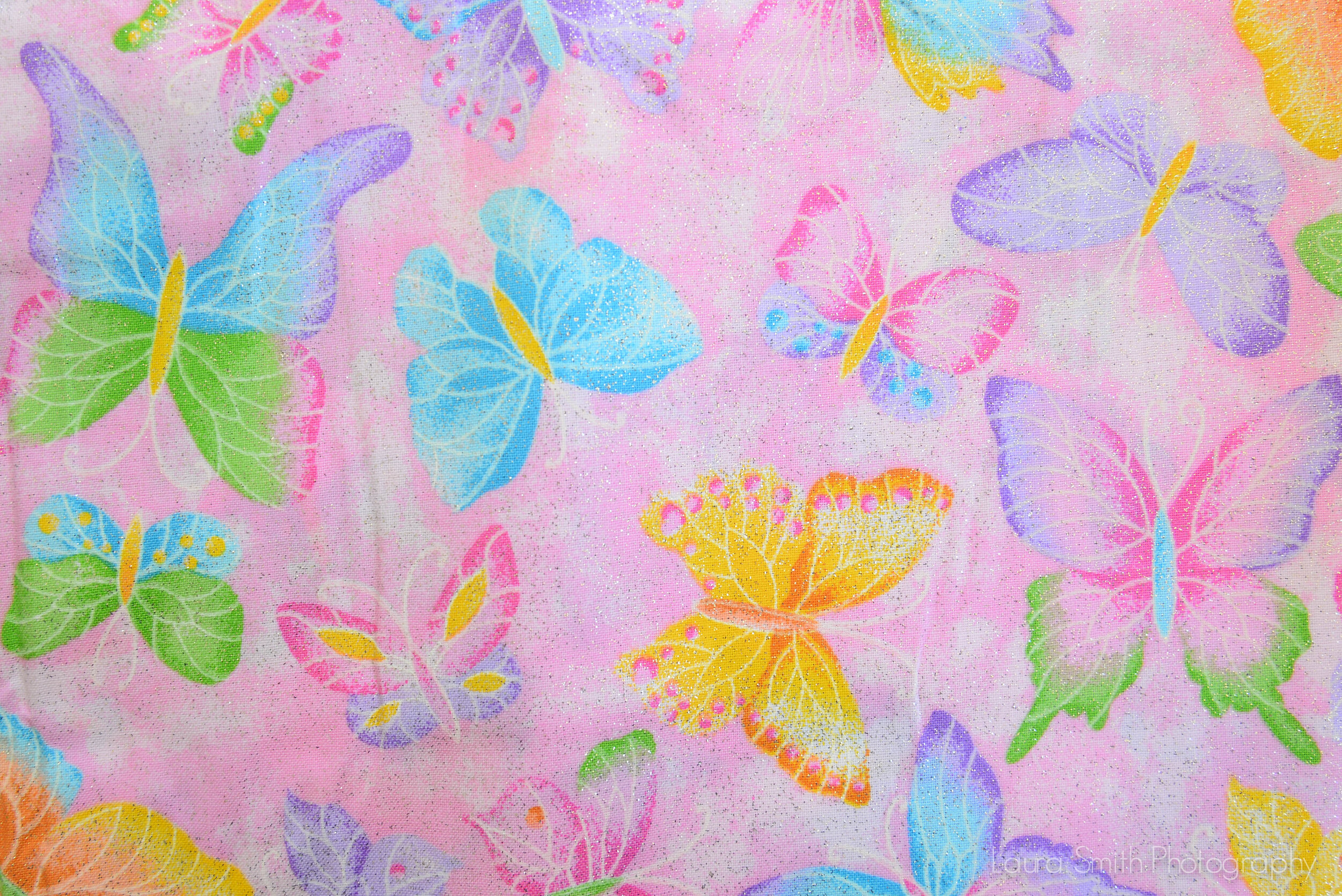 Butterfly with Pink Background 