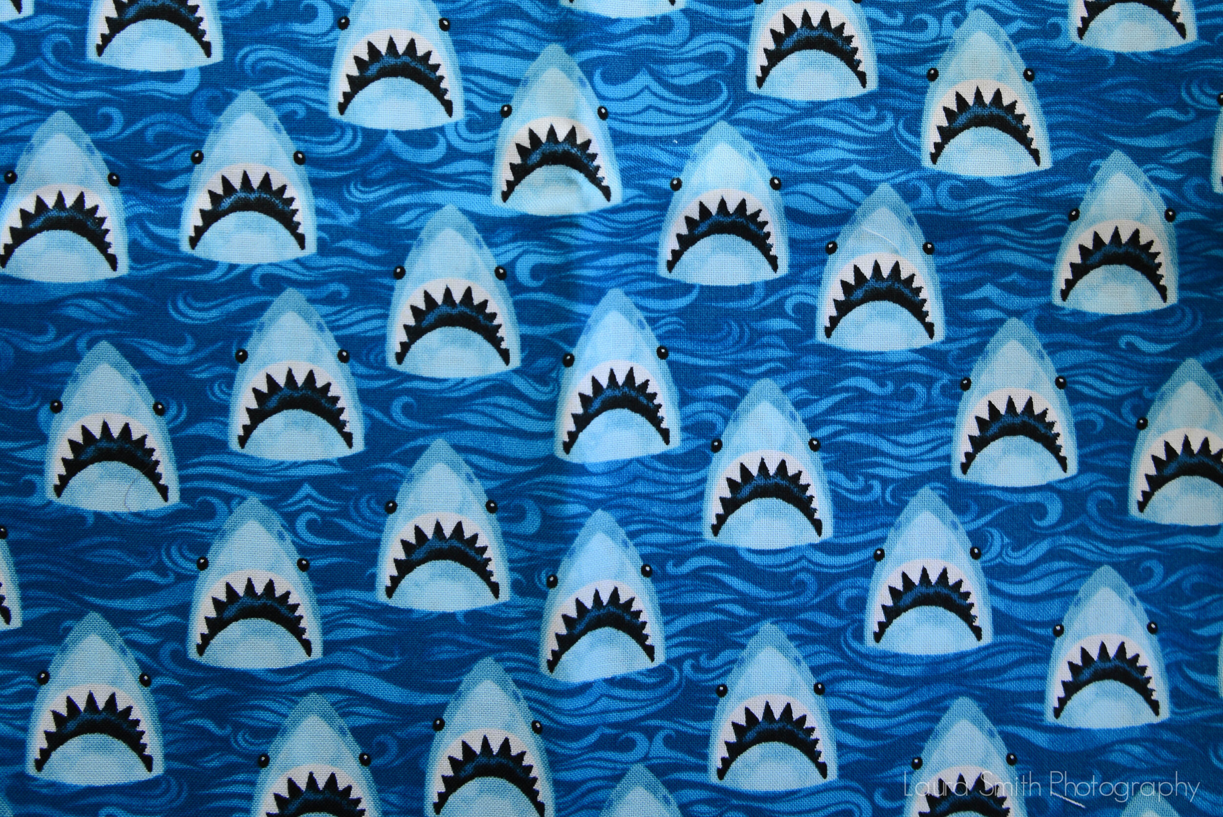Shark Heads