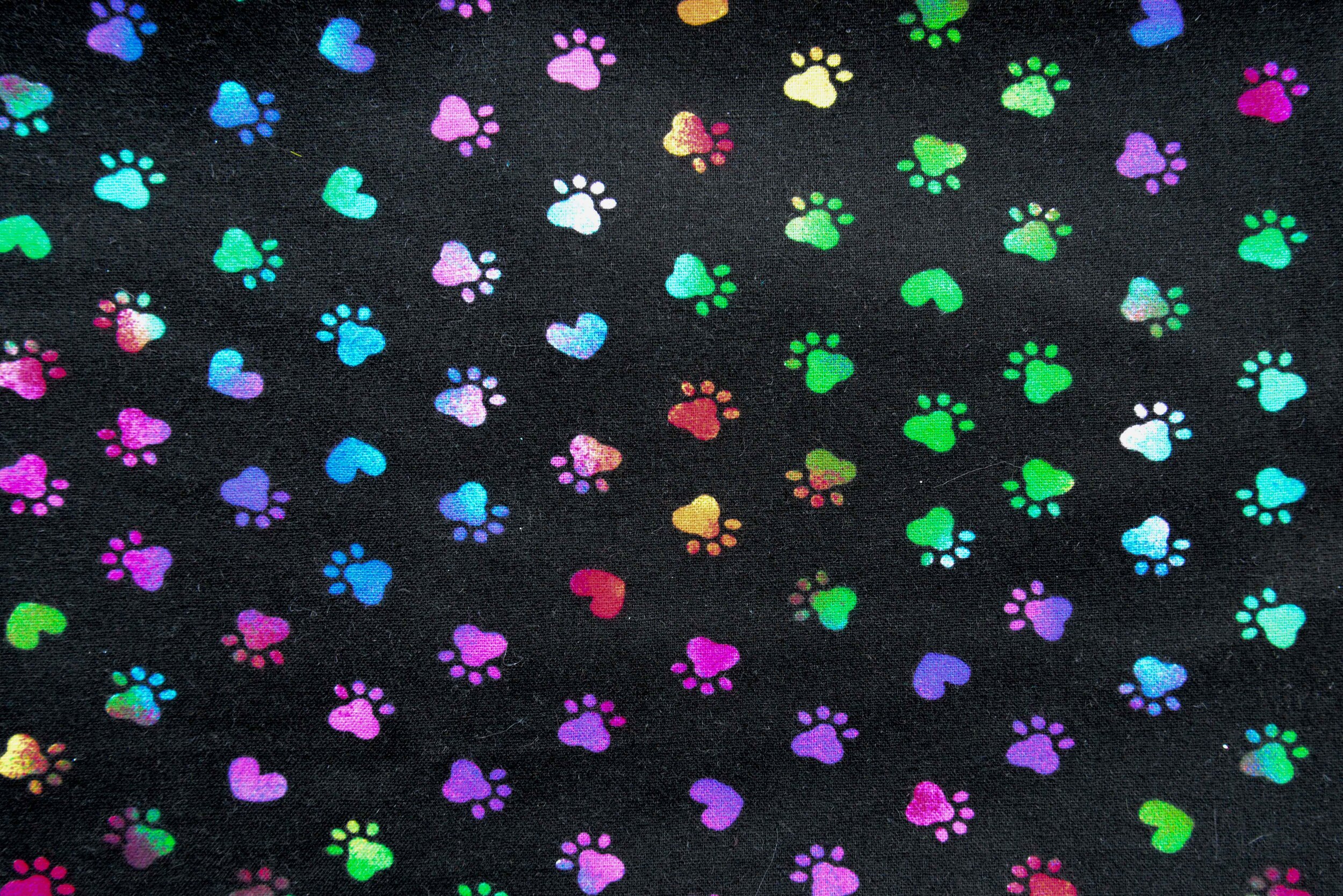 Rainbow Paw Prints