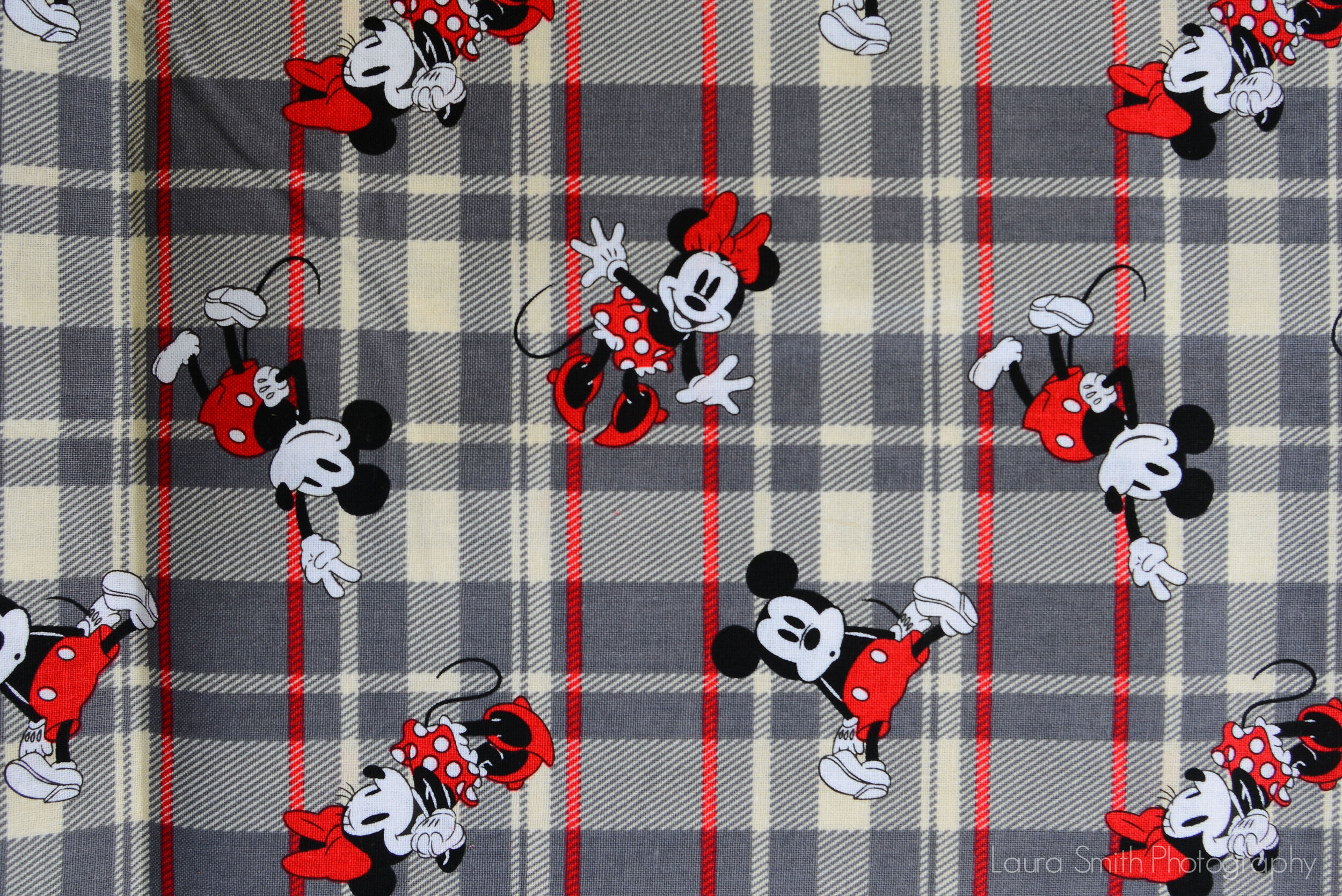 Mickey on Plaid