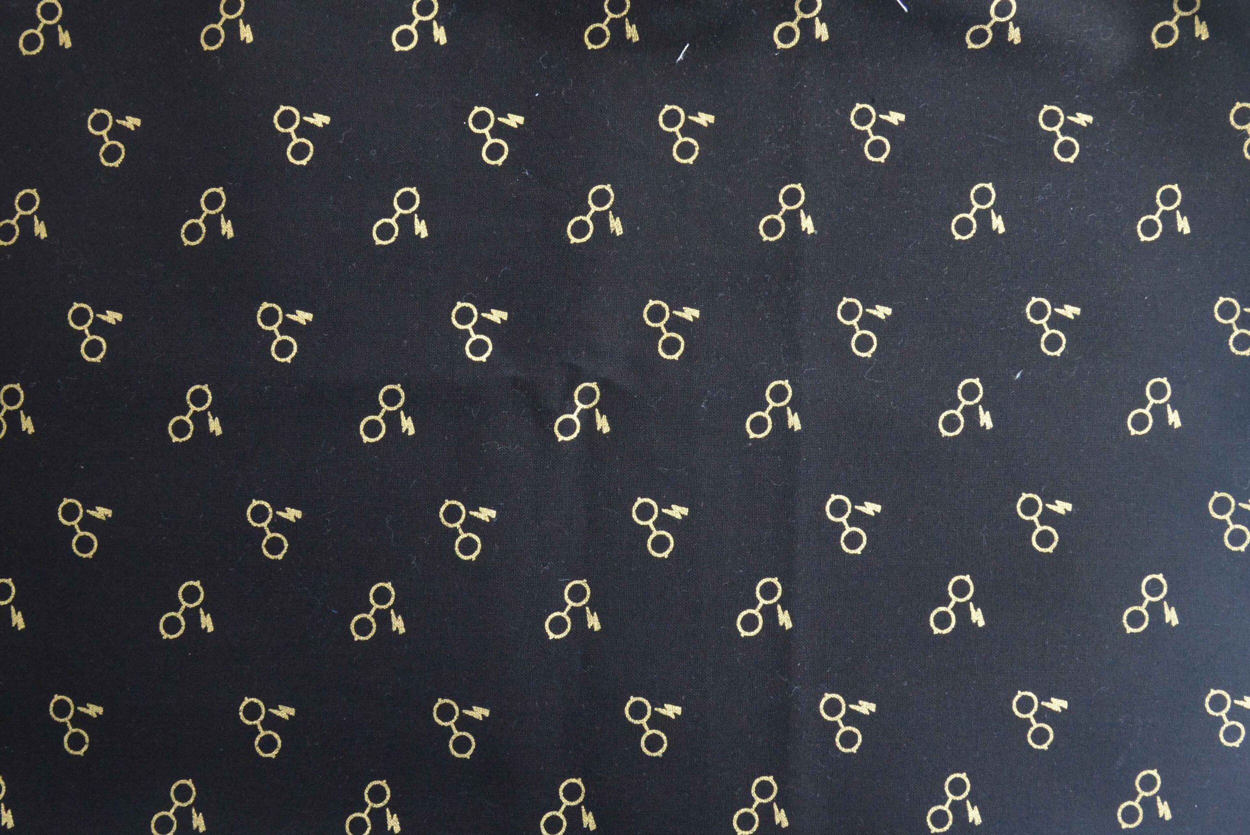 Harry Potter Glasses