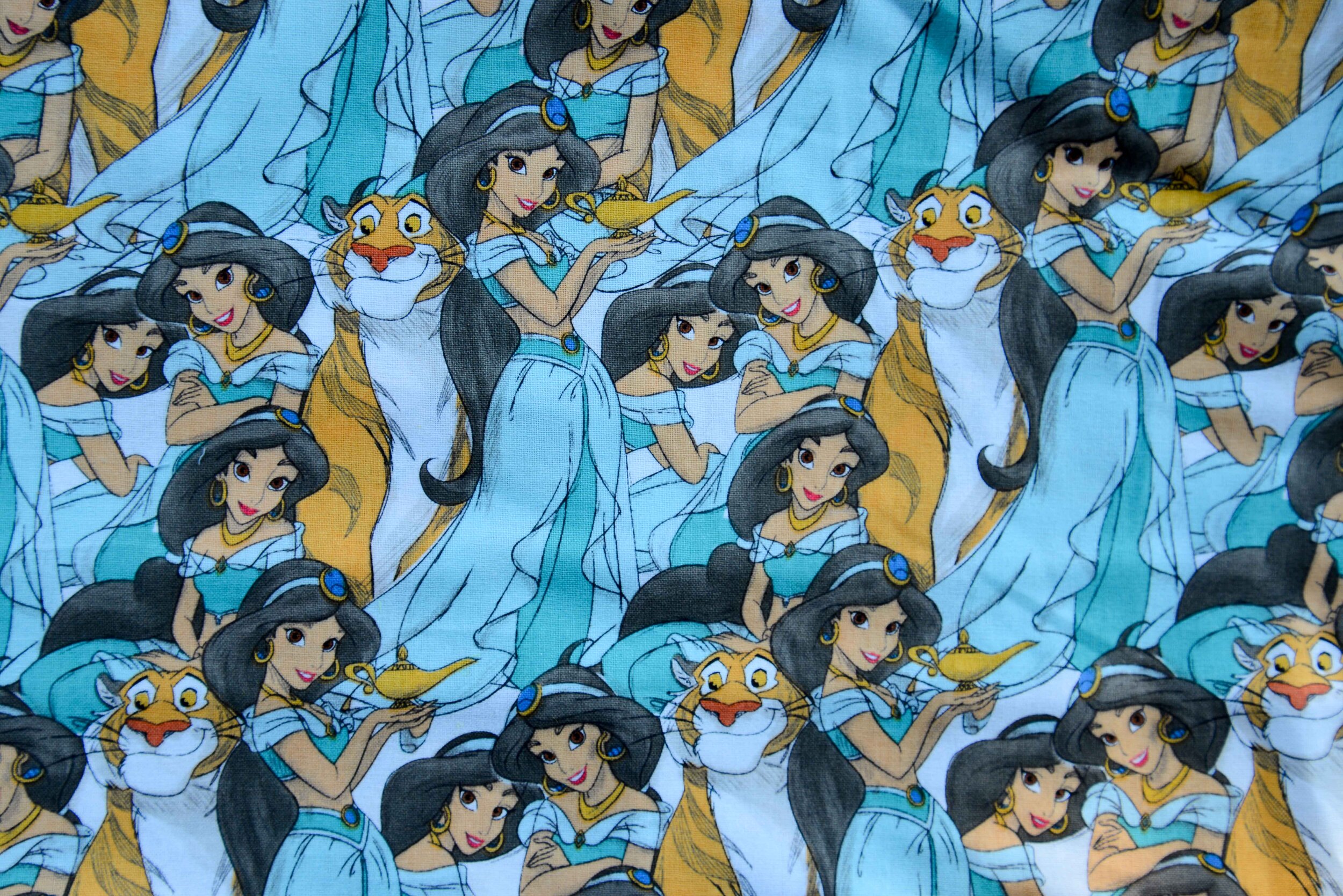 Princess Jasmine 