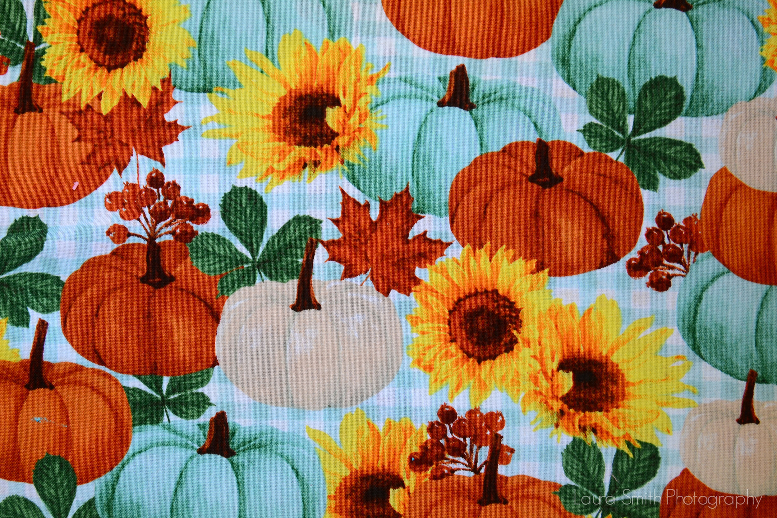 Pumpkins and Sunflowers