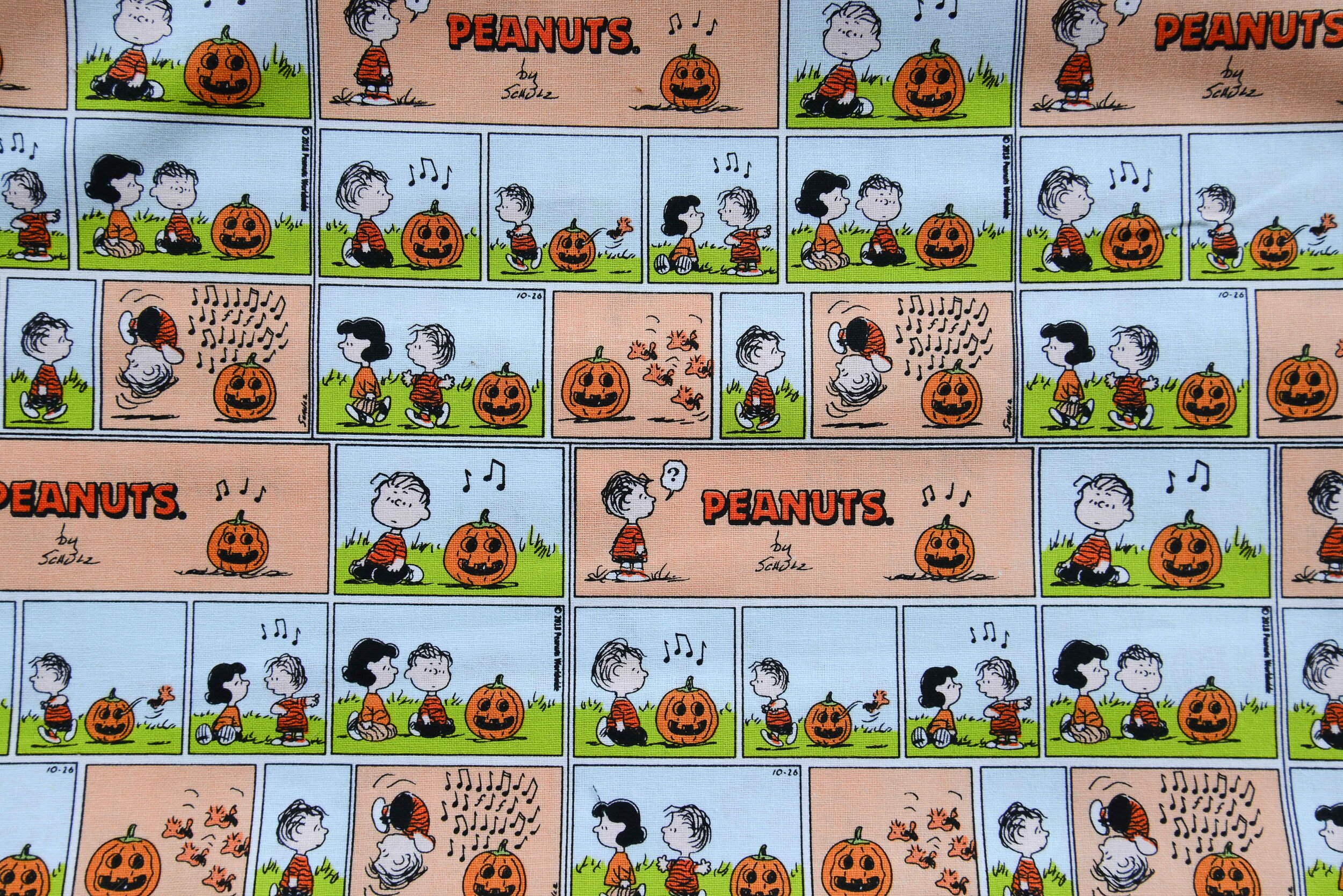 Charlie Brown Fall Comic