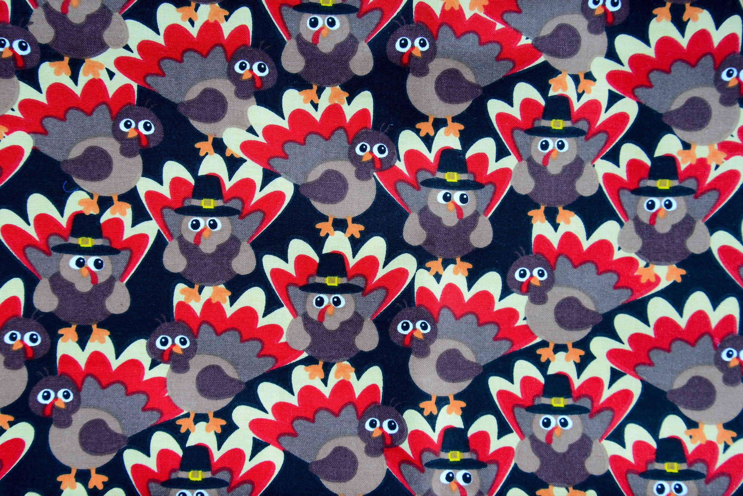 Pilgrim Hatted Turkeys