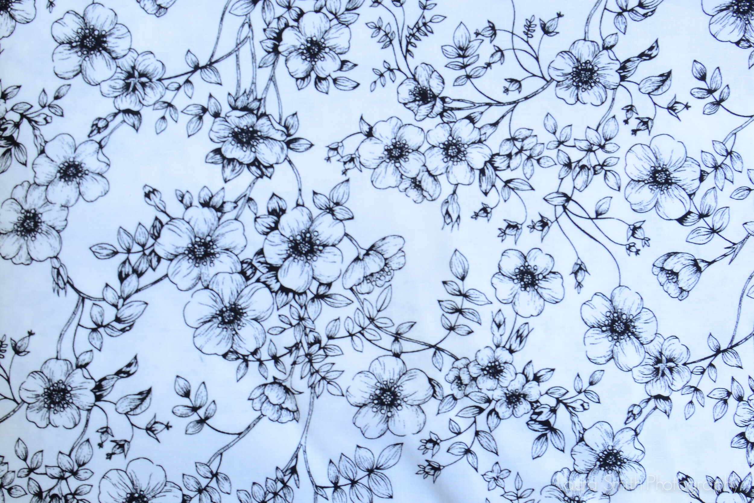 Black and White Flowers