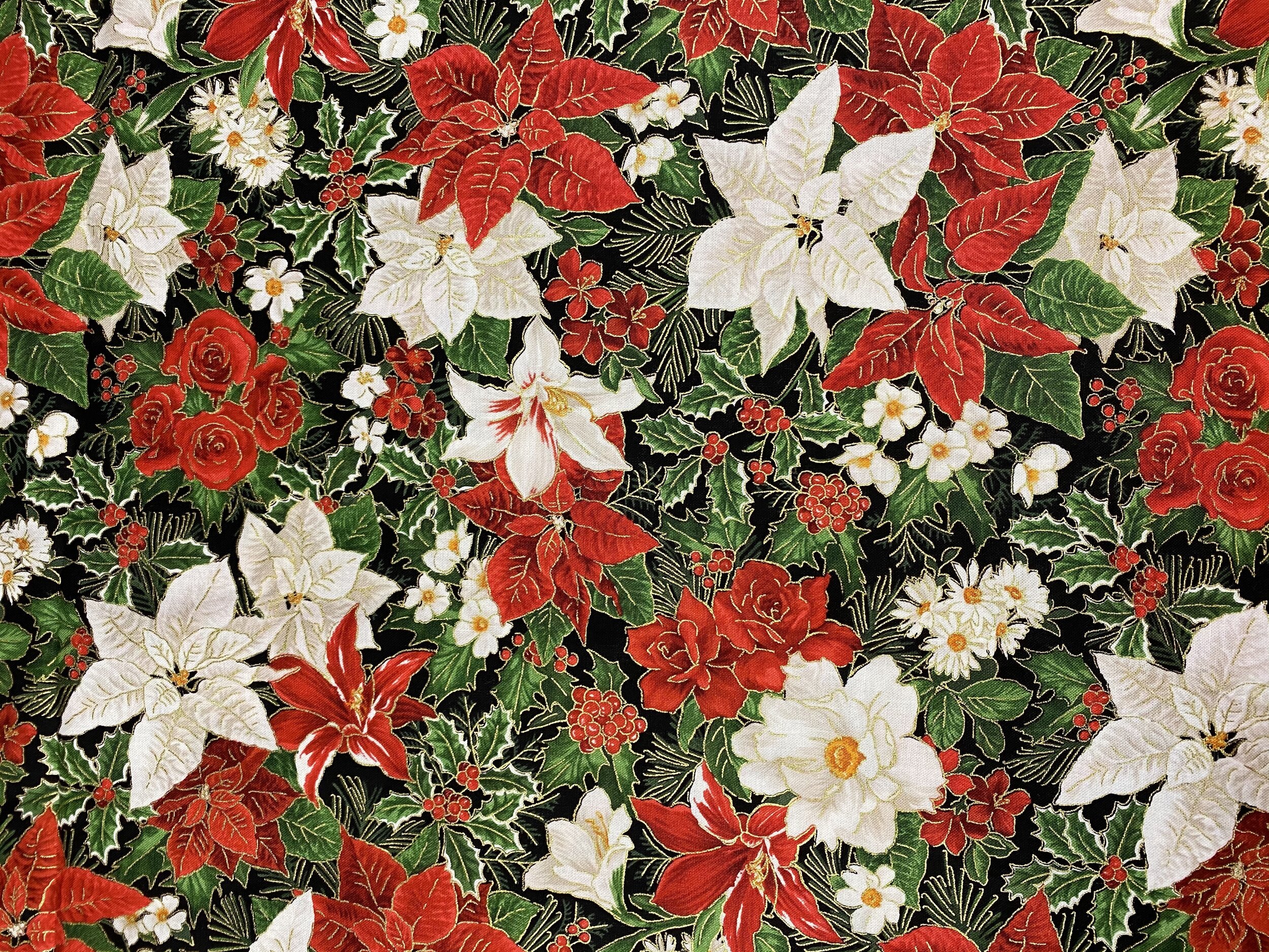 Red and White Poinsettia's 