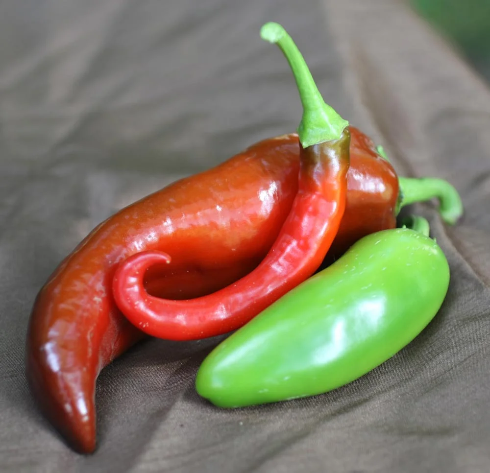 Peppers.jpg