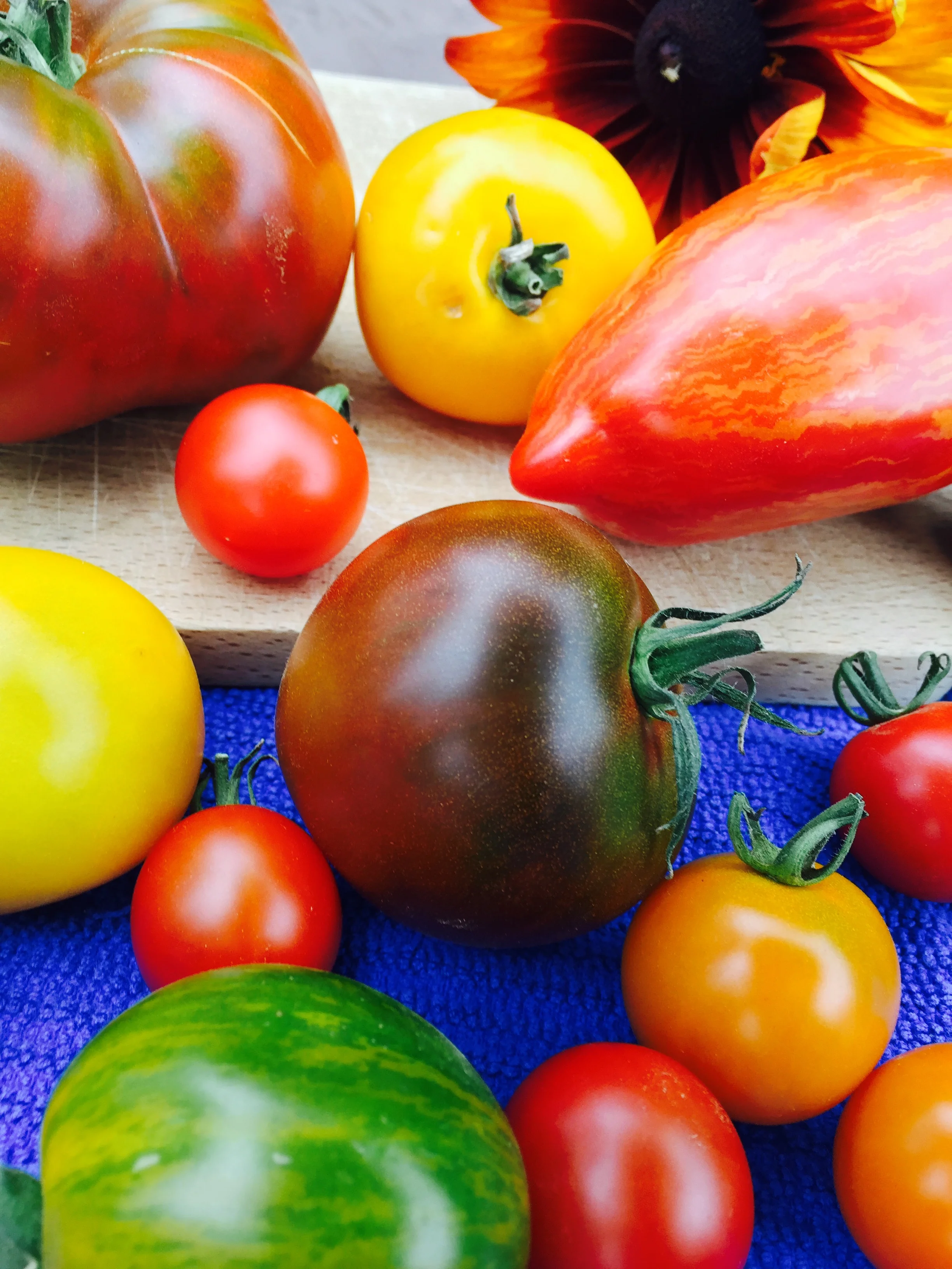 Tomatoes.jpg