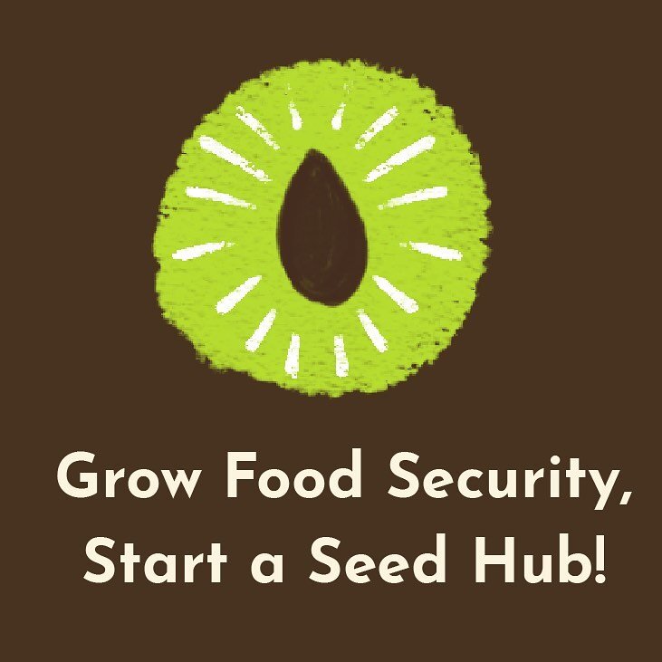Novella Carpenter | Oakland, CA
Seeds Distributed 3 + The Black Earth Collective
It was nice to give one organization a large quantity of seeds--like lots of lettuce and pea seeds. 

Apply to Start a Seed Hub in Your Community Today! Visit our link i