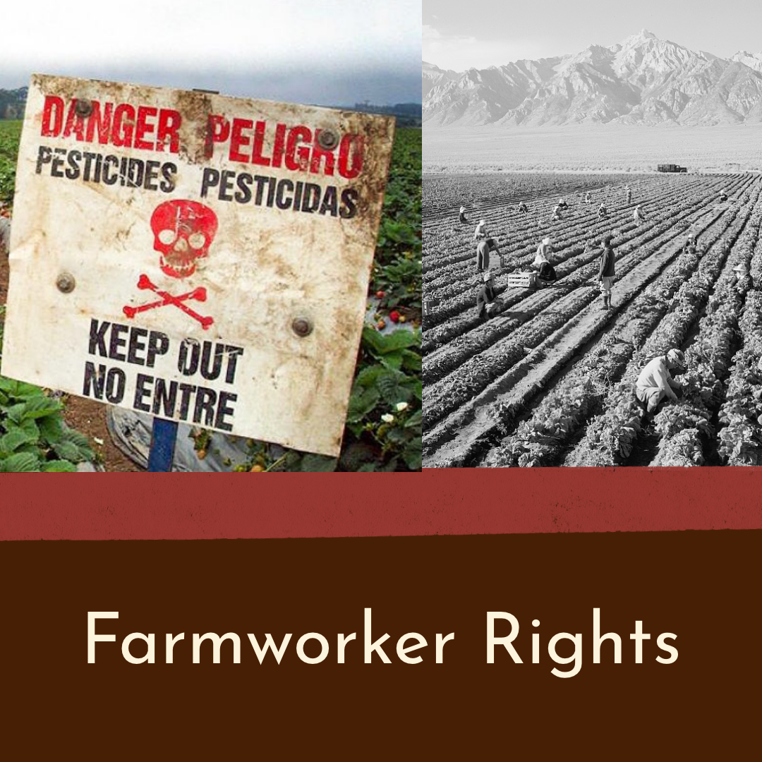 CoopGardens Policy Doc – 13.png