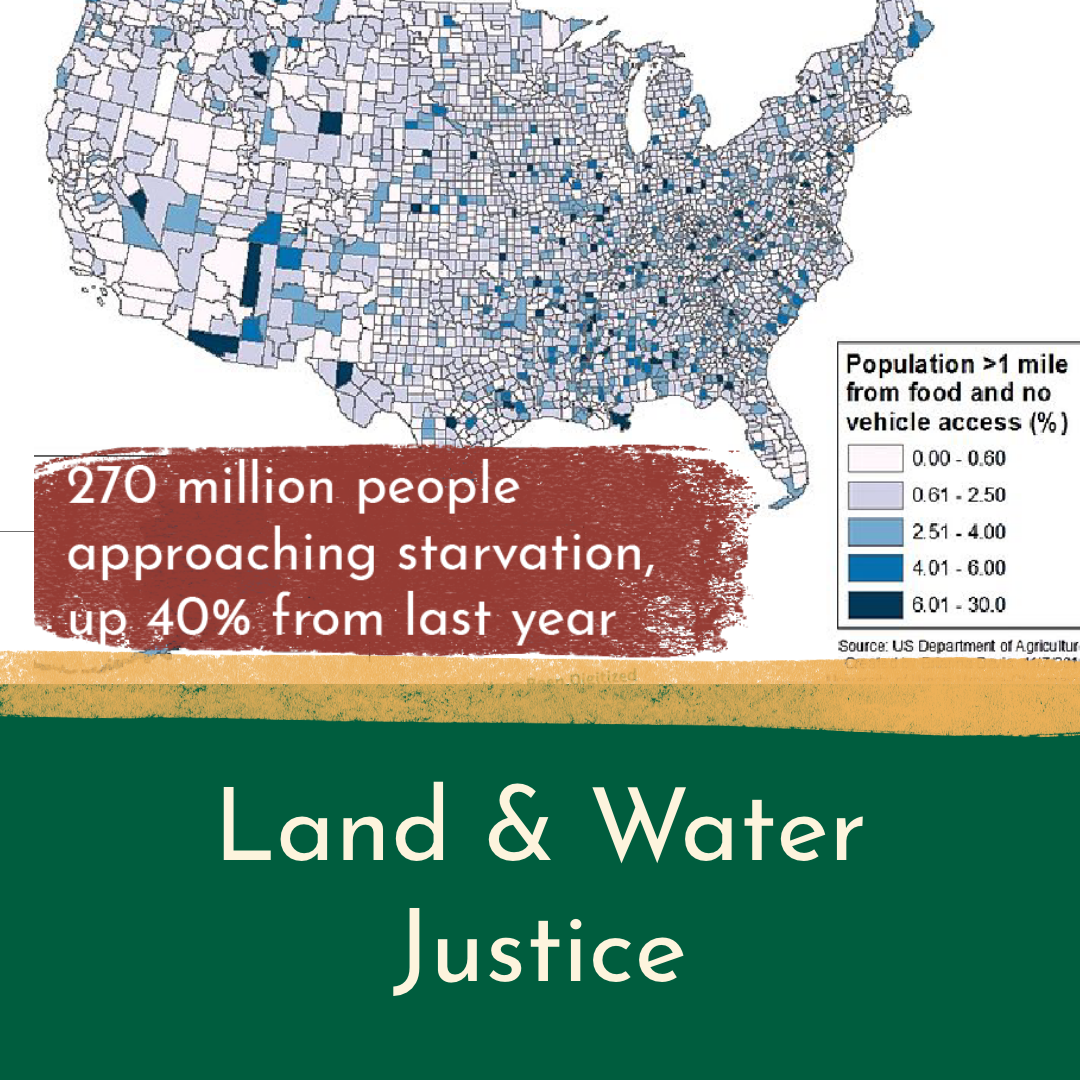 CoopGardens Policy Doc – 11.png