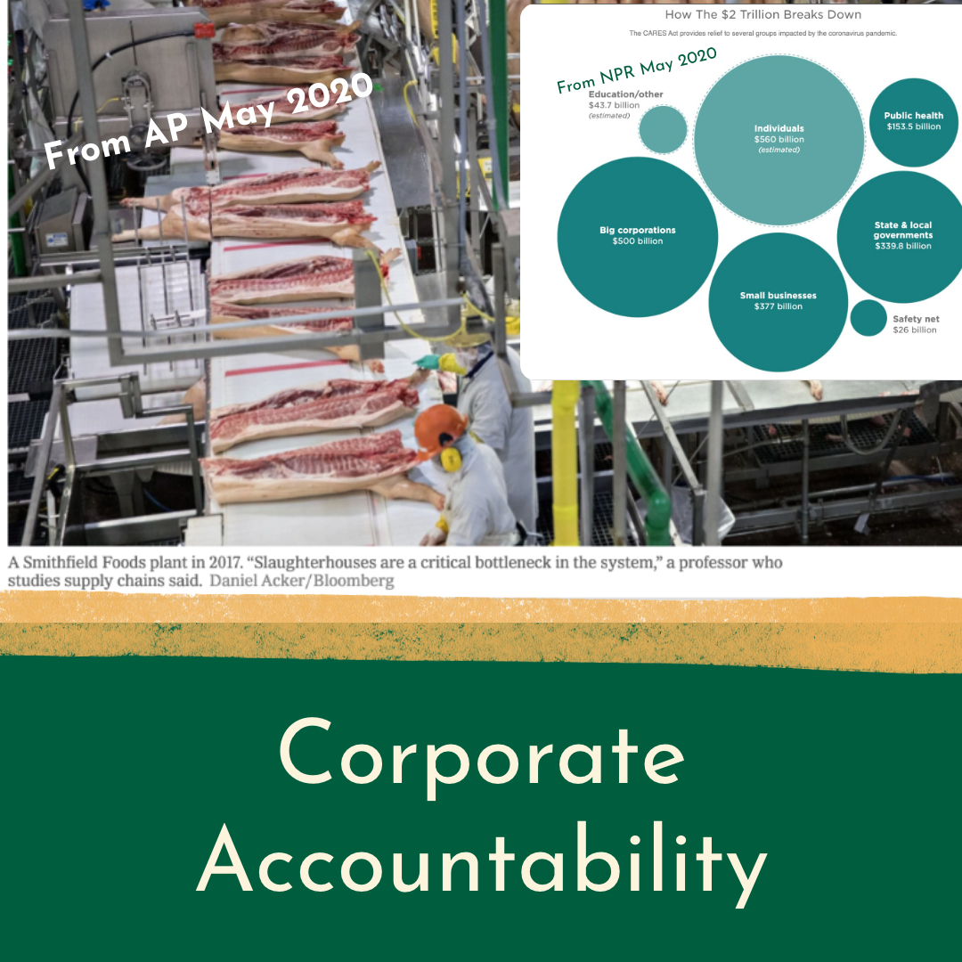 CoopGardens Policy Doc – 16.png