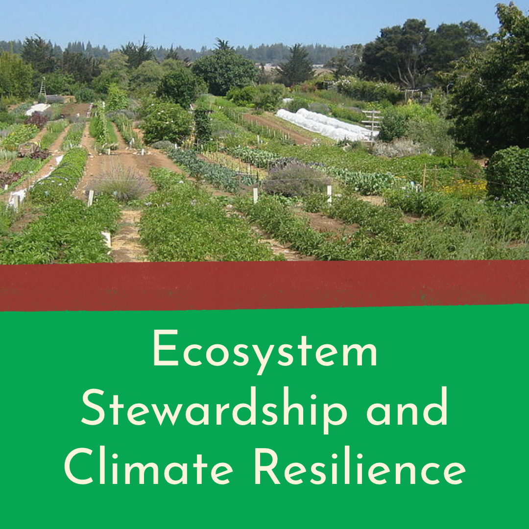 CoopGardens Policy Doc – 17.png