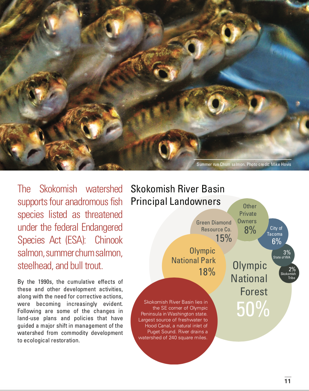 Screen Shot 2020-01-23 at 9.45.06 AM.png