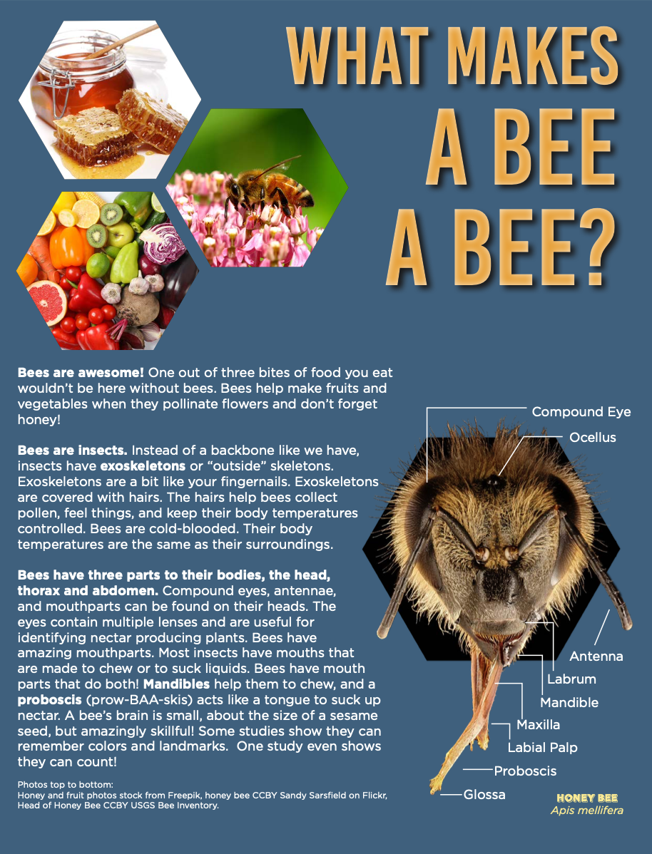 Screen Shot 2021-05-11 at 8.46.46 AM.png