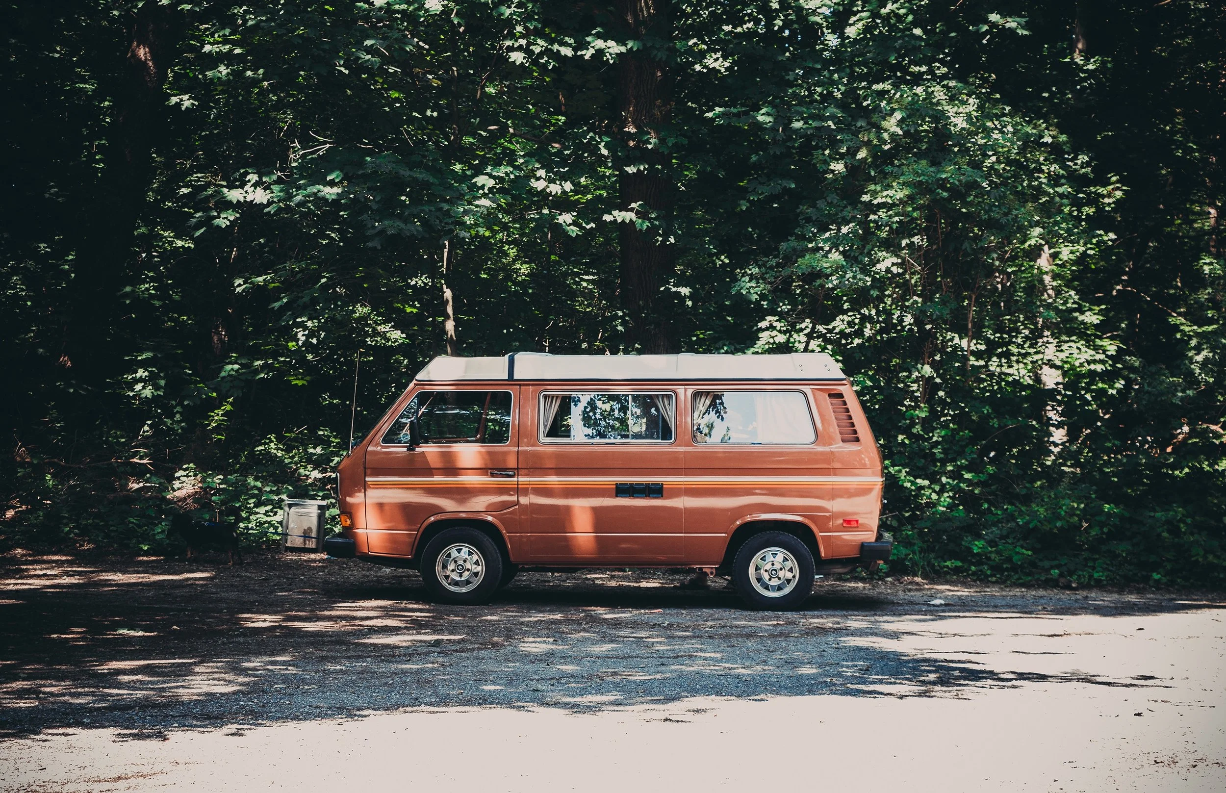 vasilios-muselimis-745027-unsplash.jpg