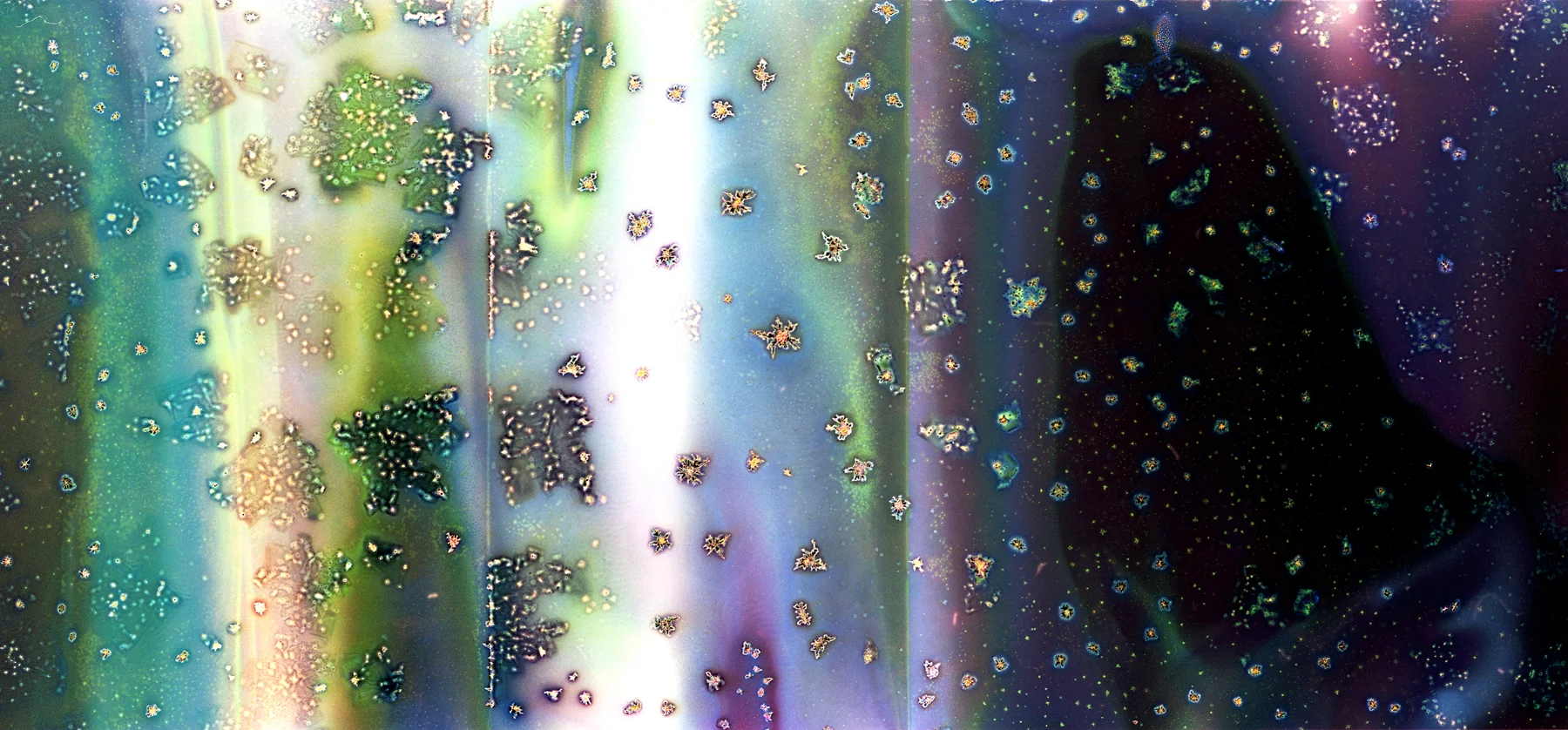 Can 4, Expanded