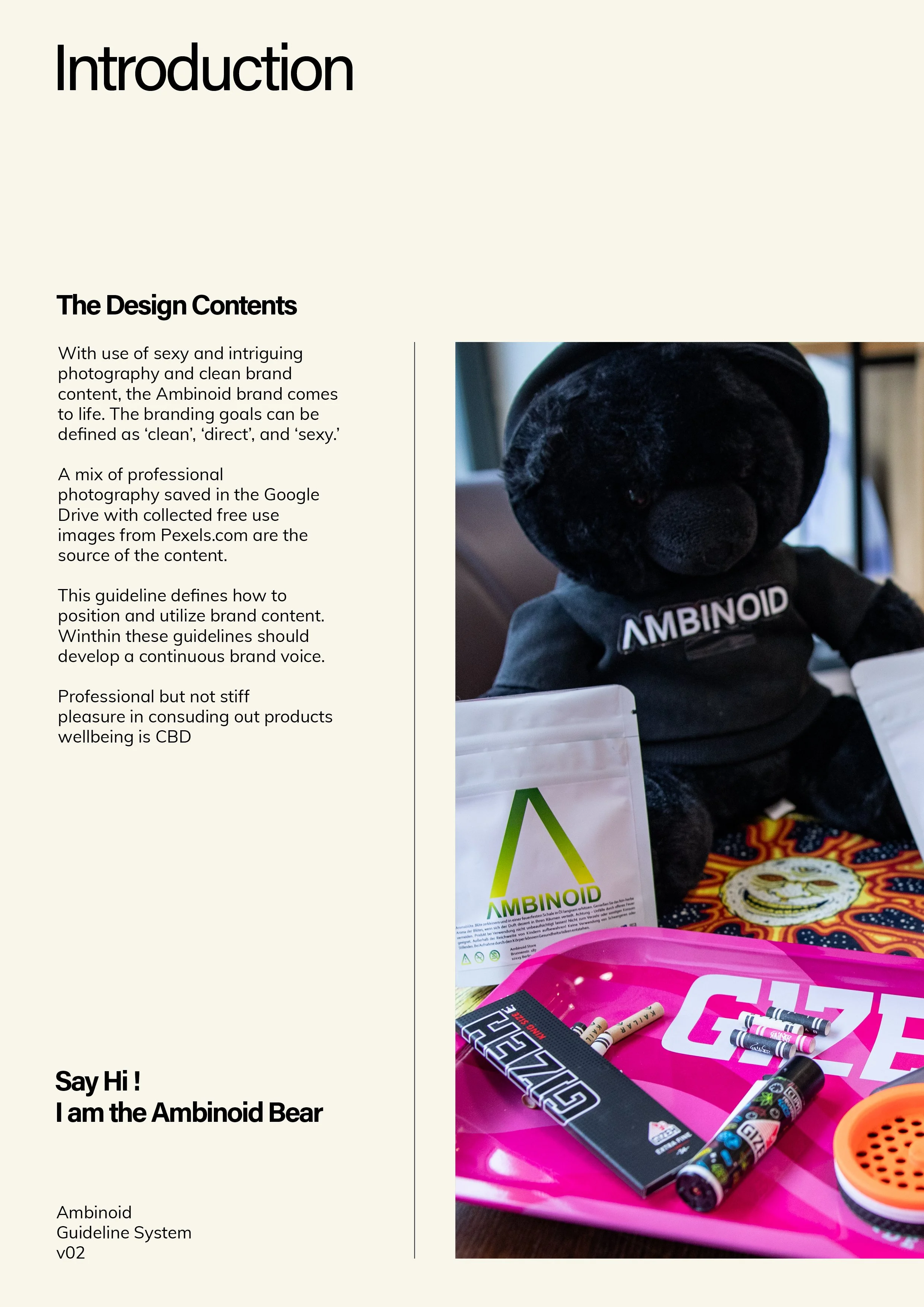 Ambinoid_v2 Brand Guidelines2.jpg