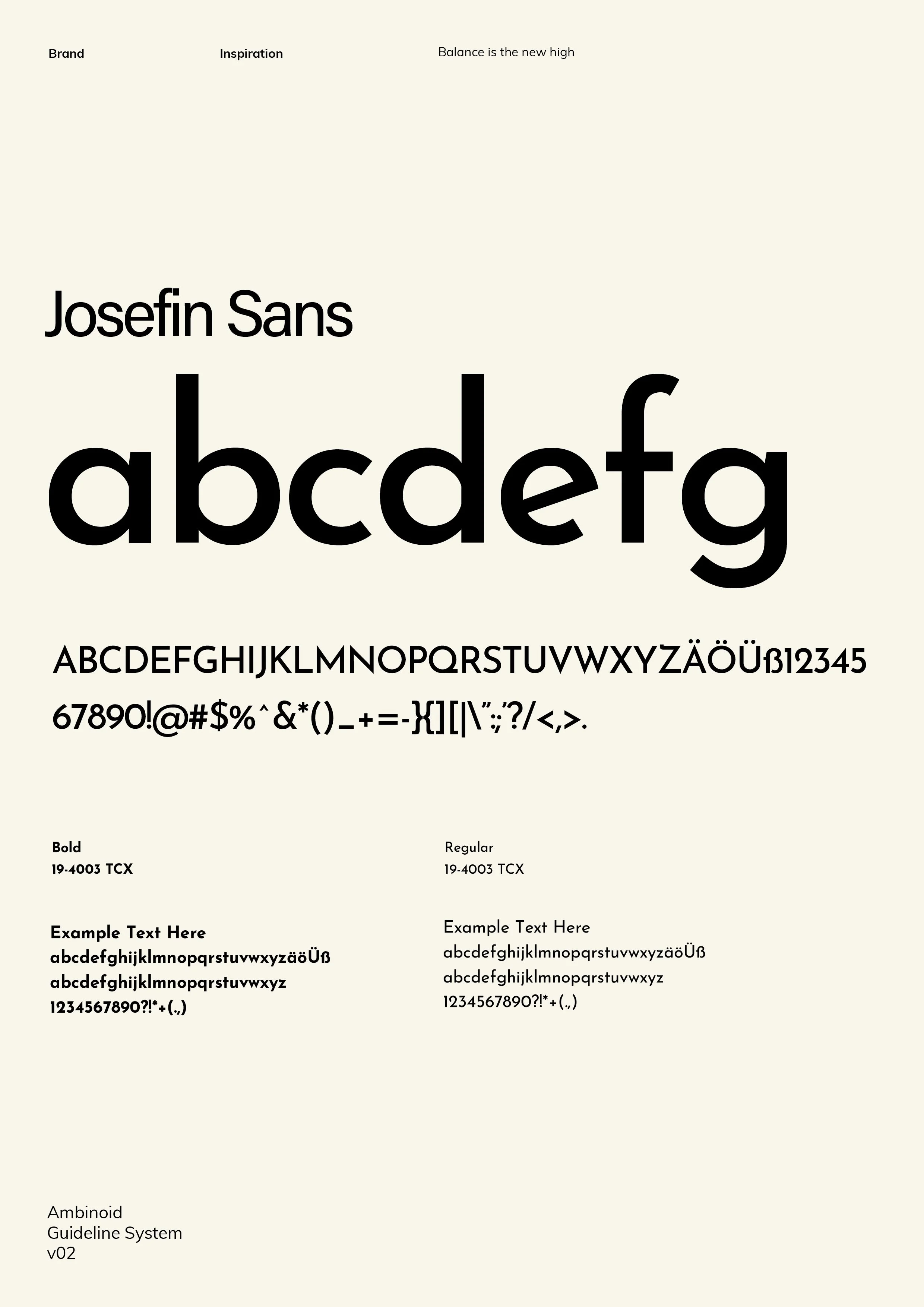 Ambinoid_v2 Brand Guidelines11.jpg