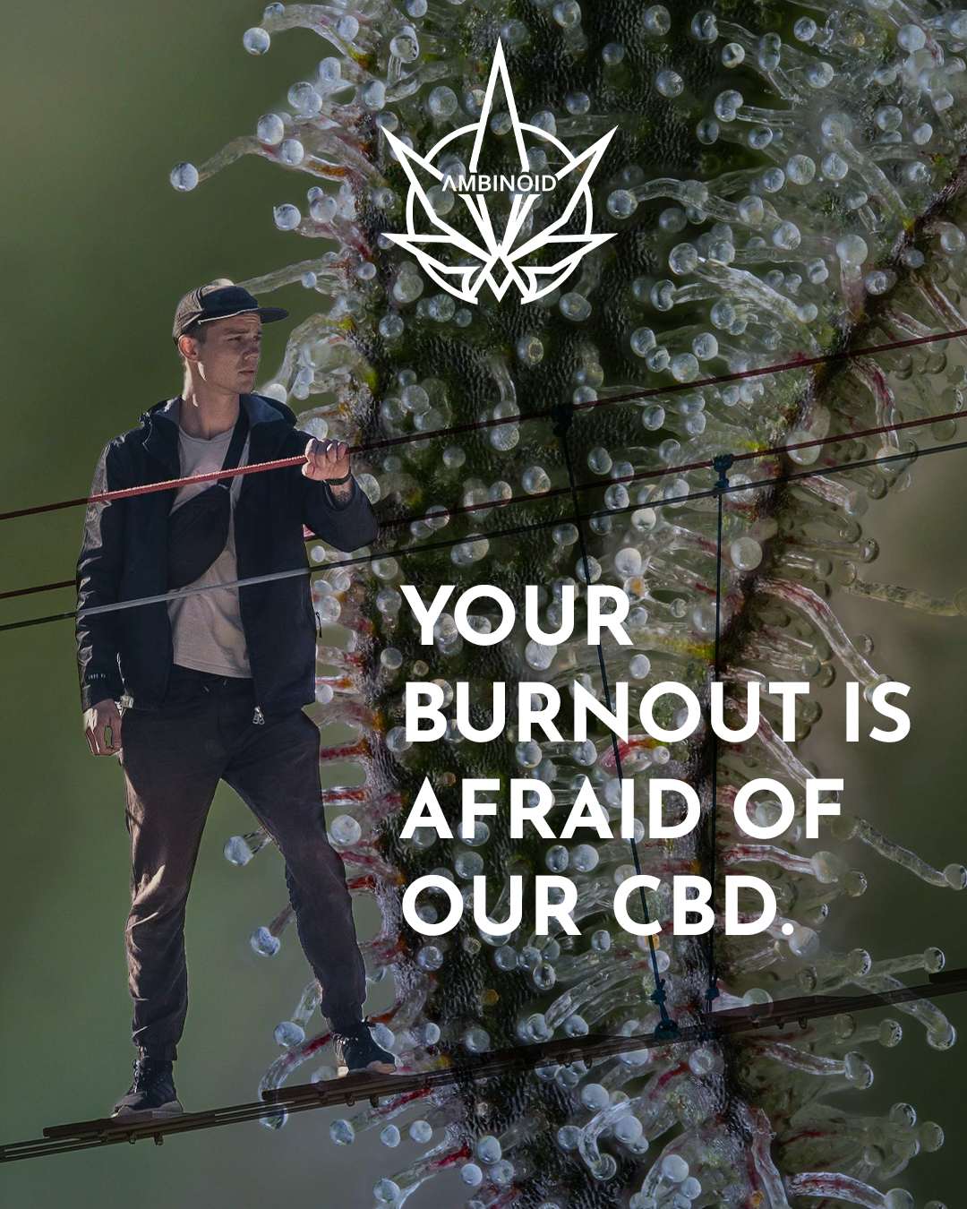 Artboard 2 copy 2.png