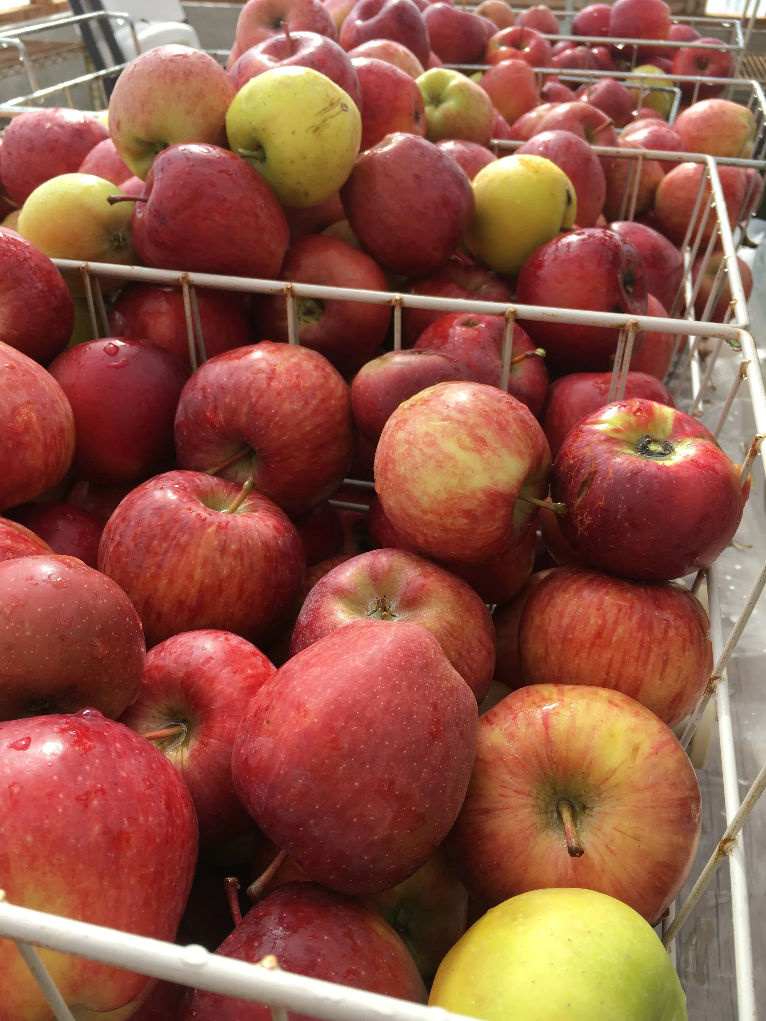Using Cider in soapmaking? 