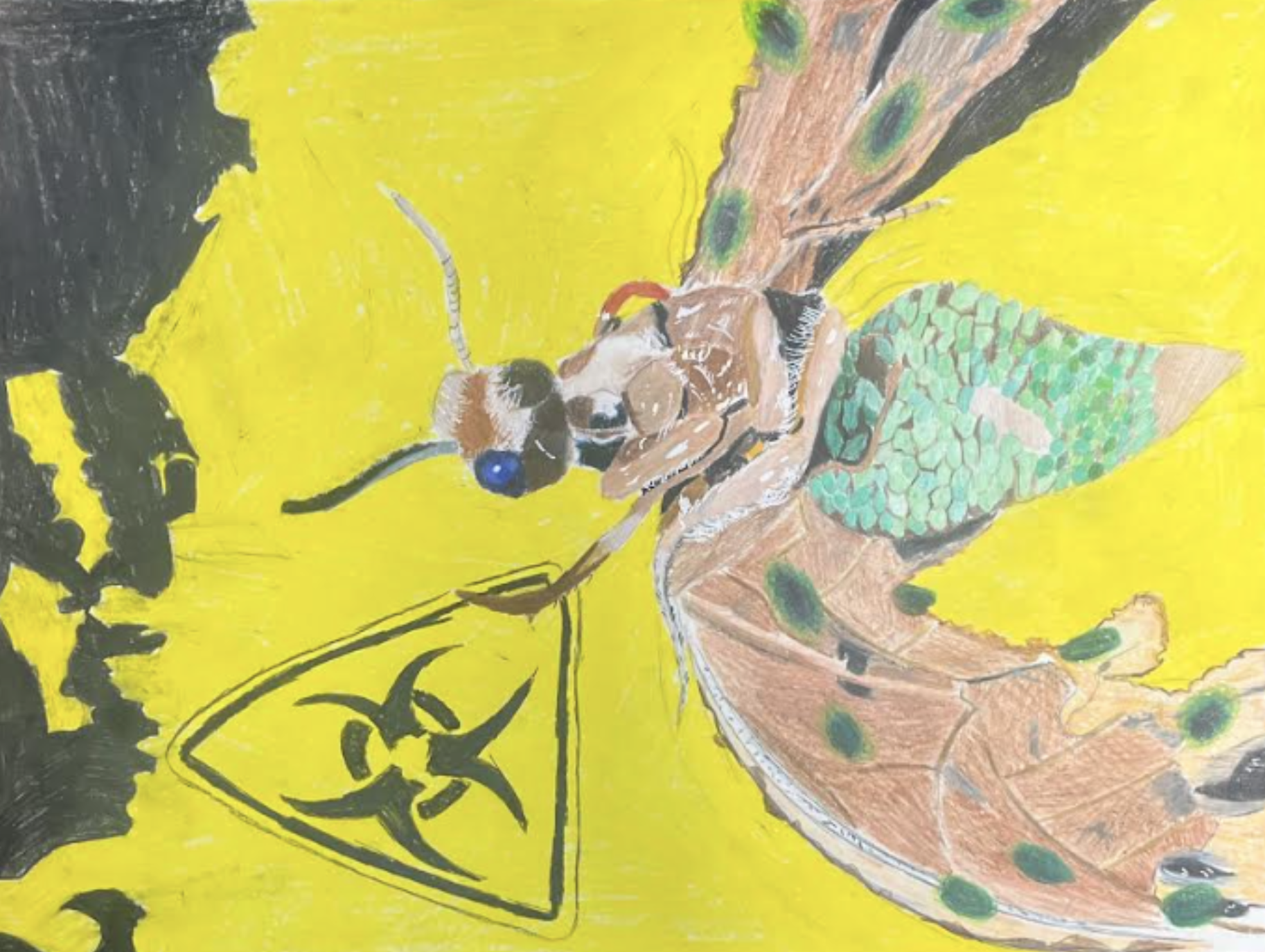 AP Art Student Portfolio Piece