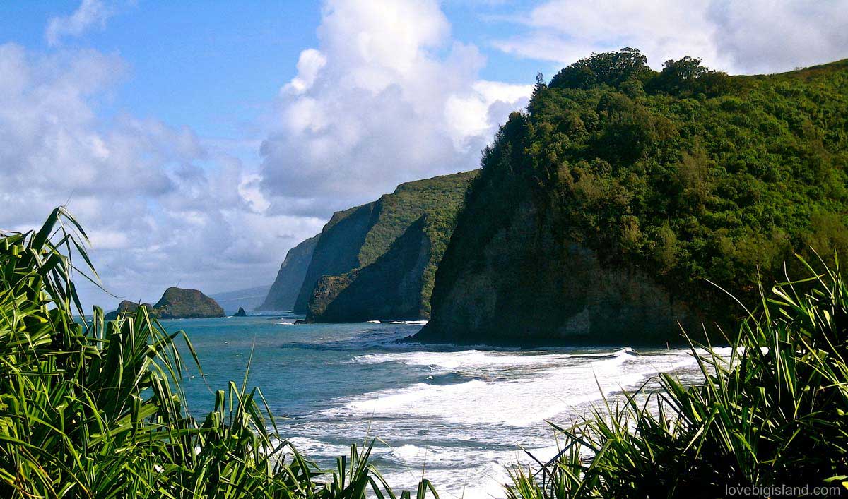 pololu1.jpg