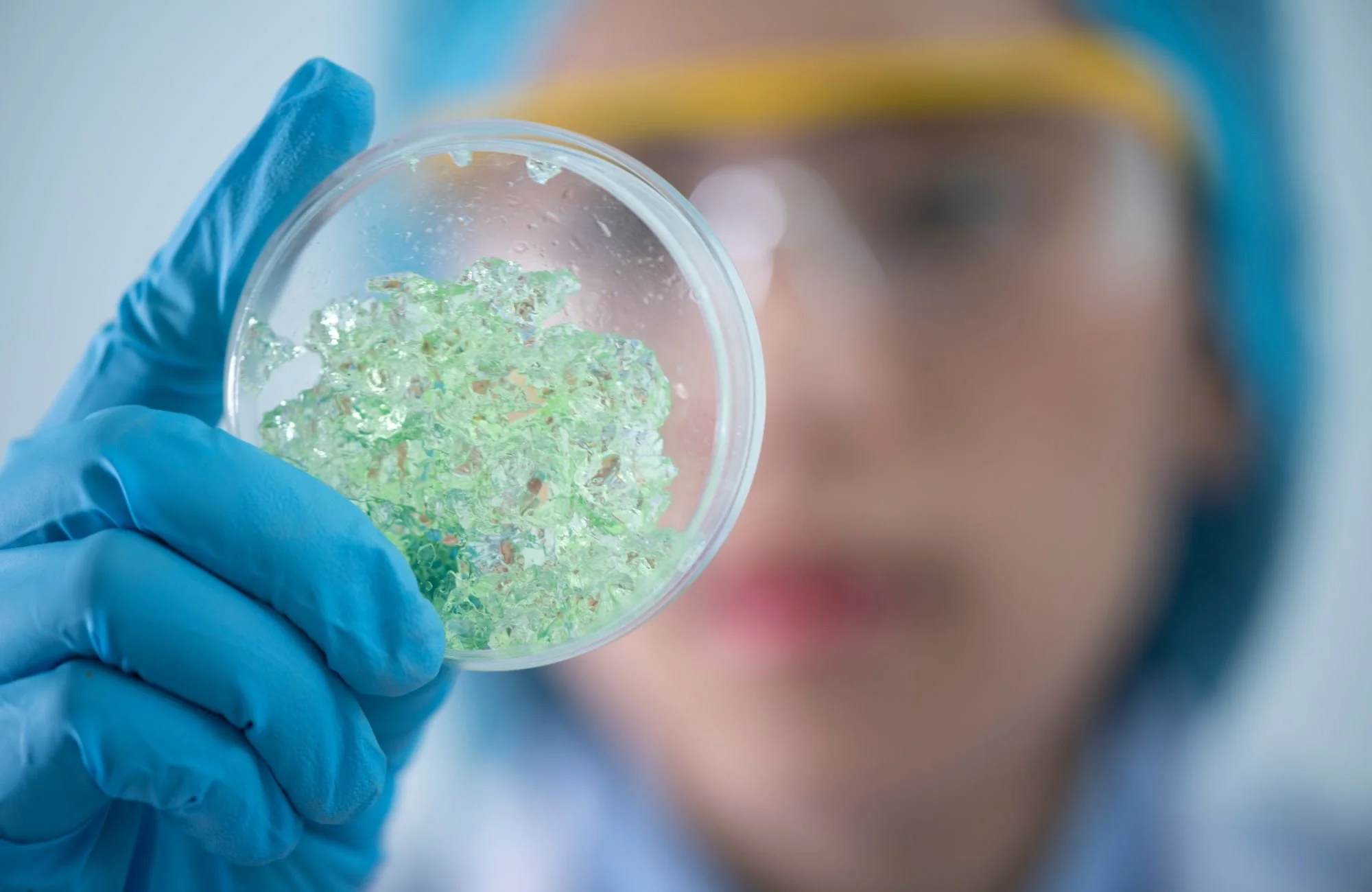 Unlocking Brain Health: The Role of Algae-Sourced DHA