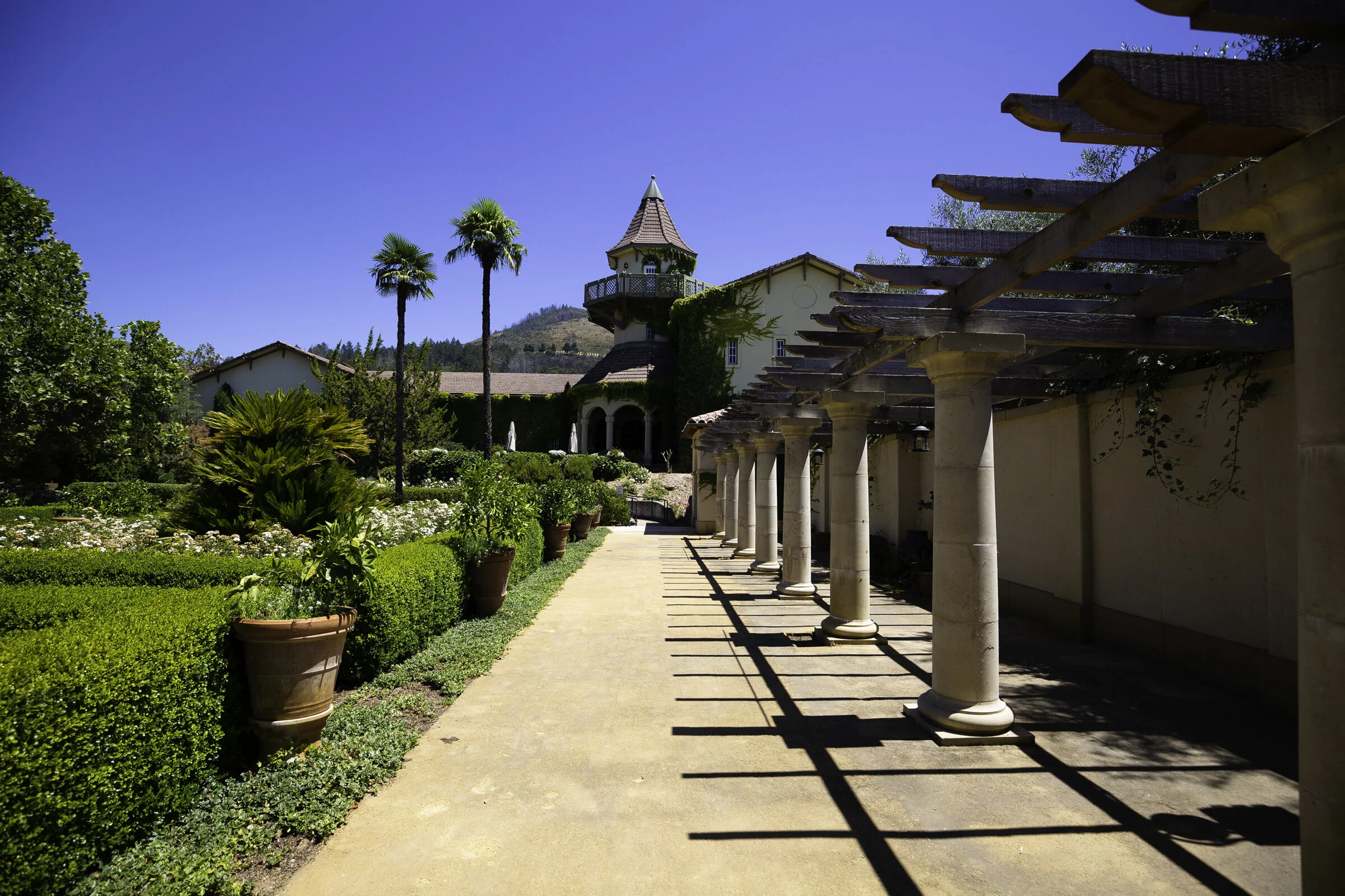 20190727-38-Bell Sonoma Bachelorette.jpg