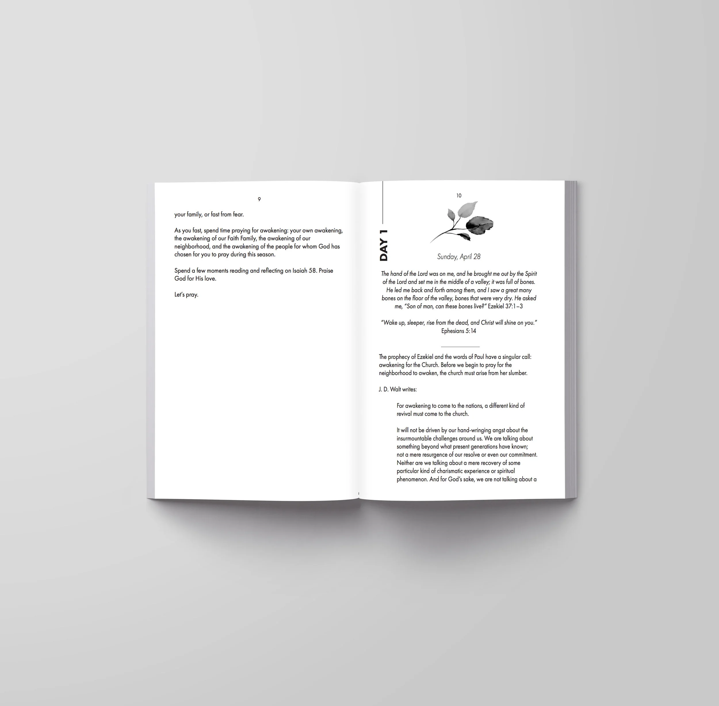 page2.jpg