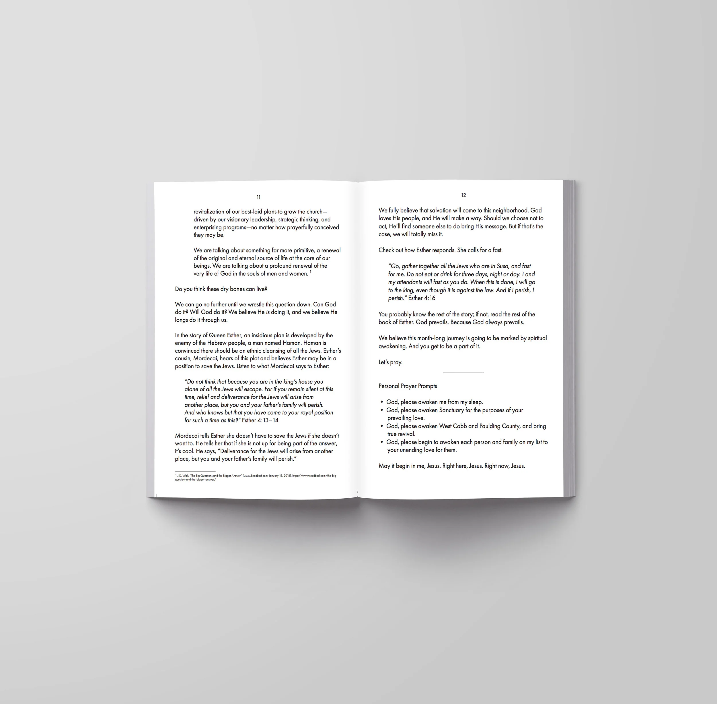 page3.jpg