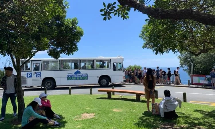 Cathedral+Cove+big+bus.jpg