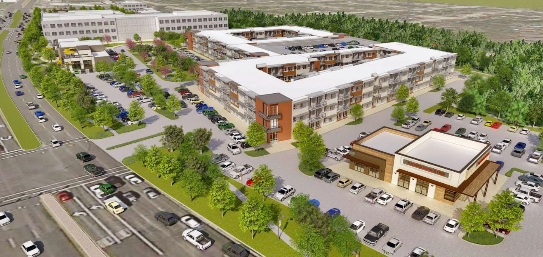  Business Revitalization Plan 