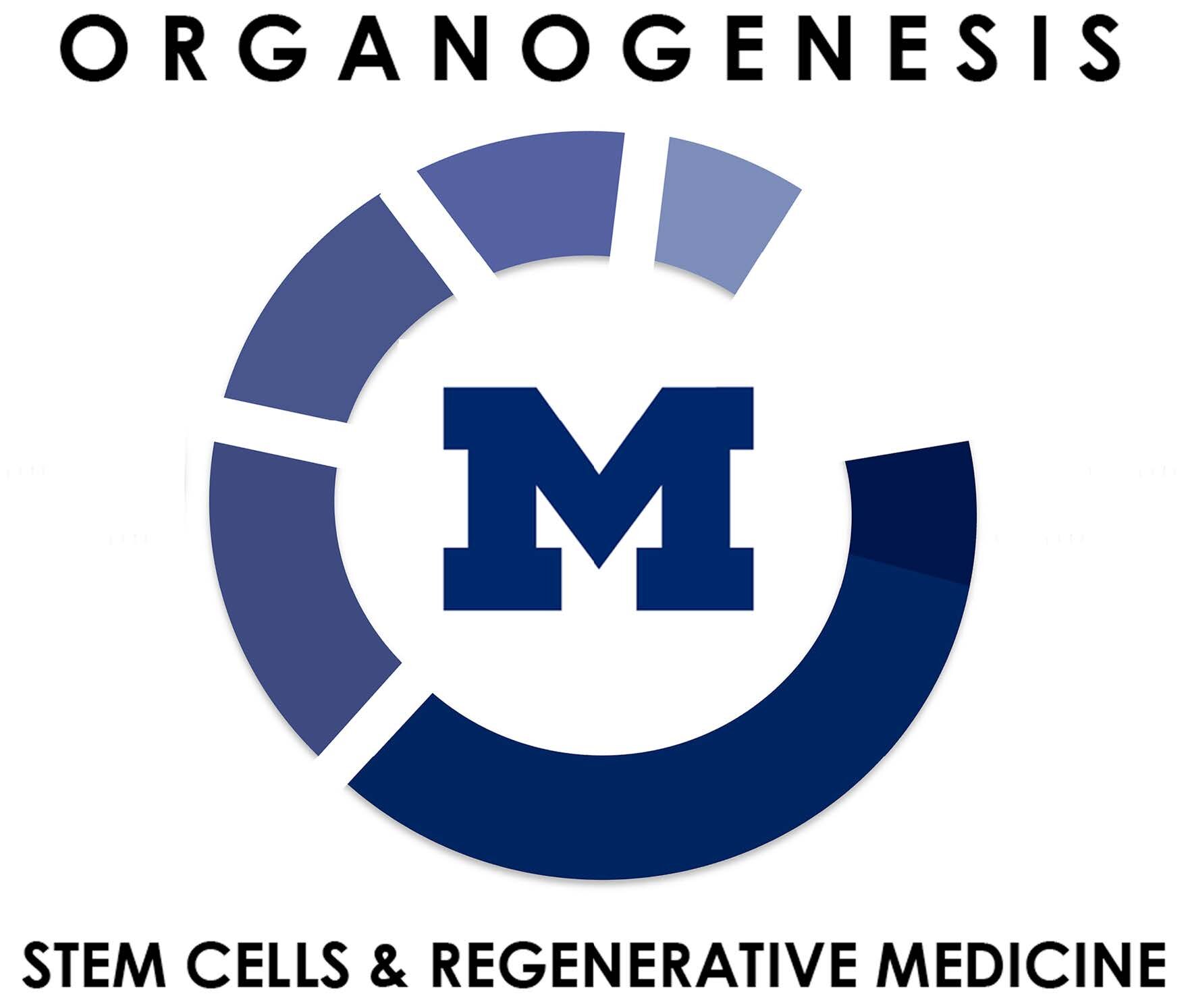 organogenesis.jpg