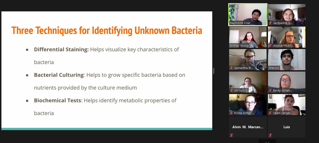  In groups, students presented on common lab techniques, including how to identify unknown bacteria 