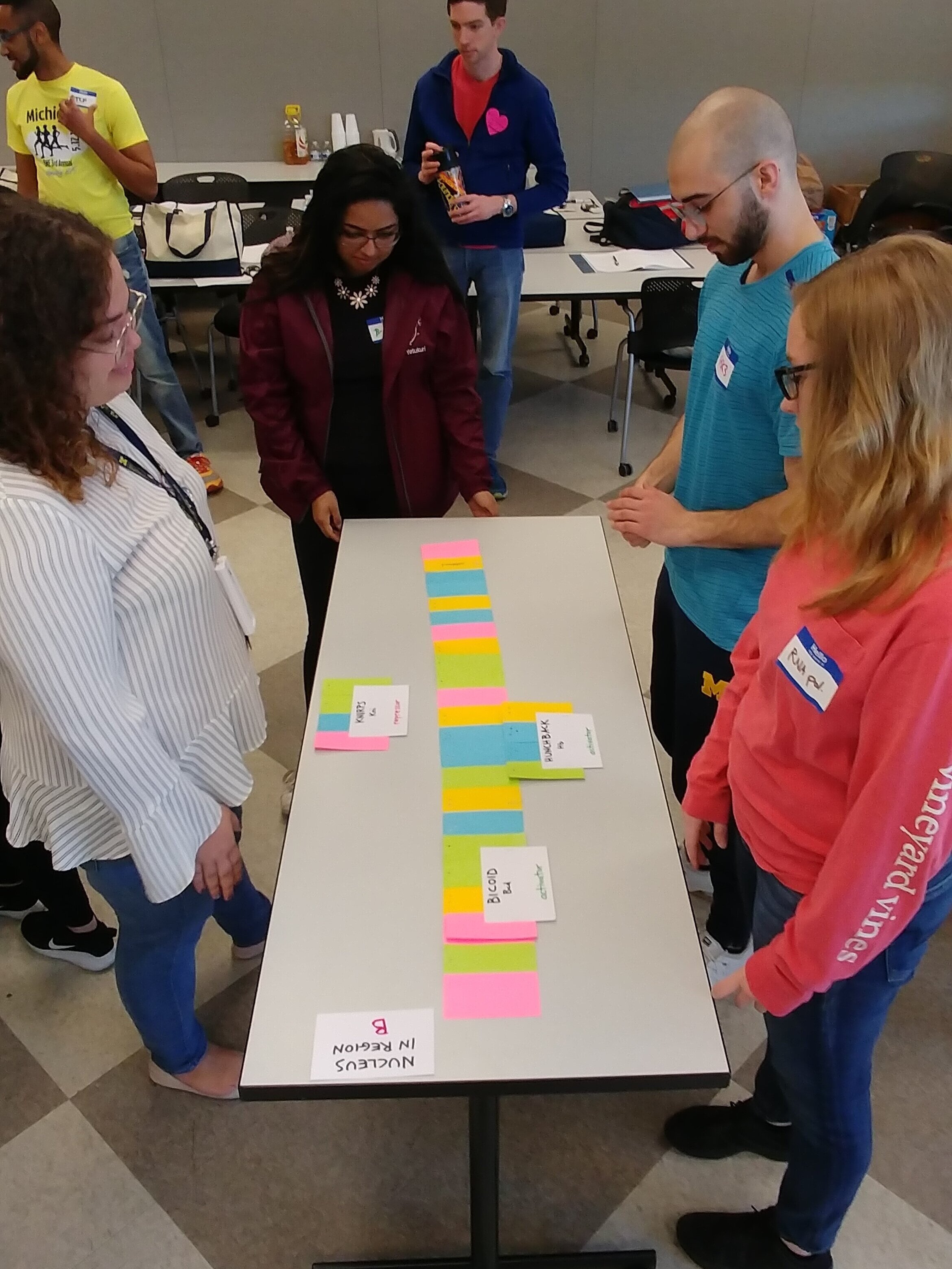  Students play an interactive game on transcription factors 