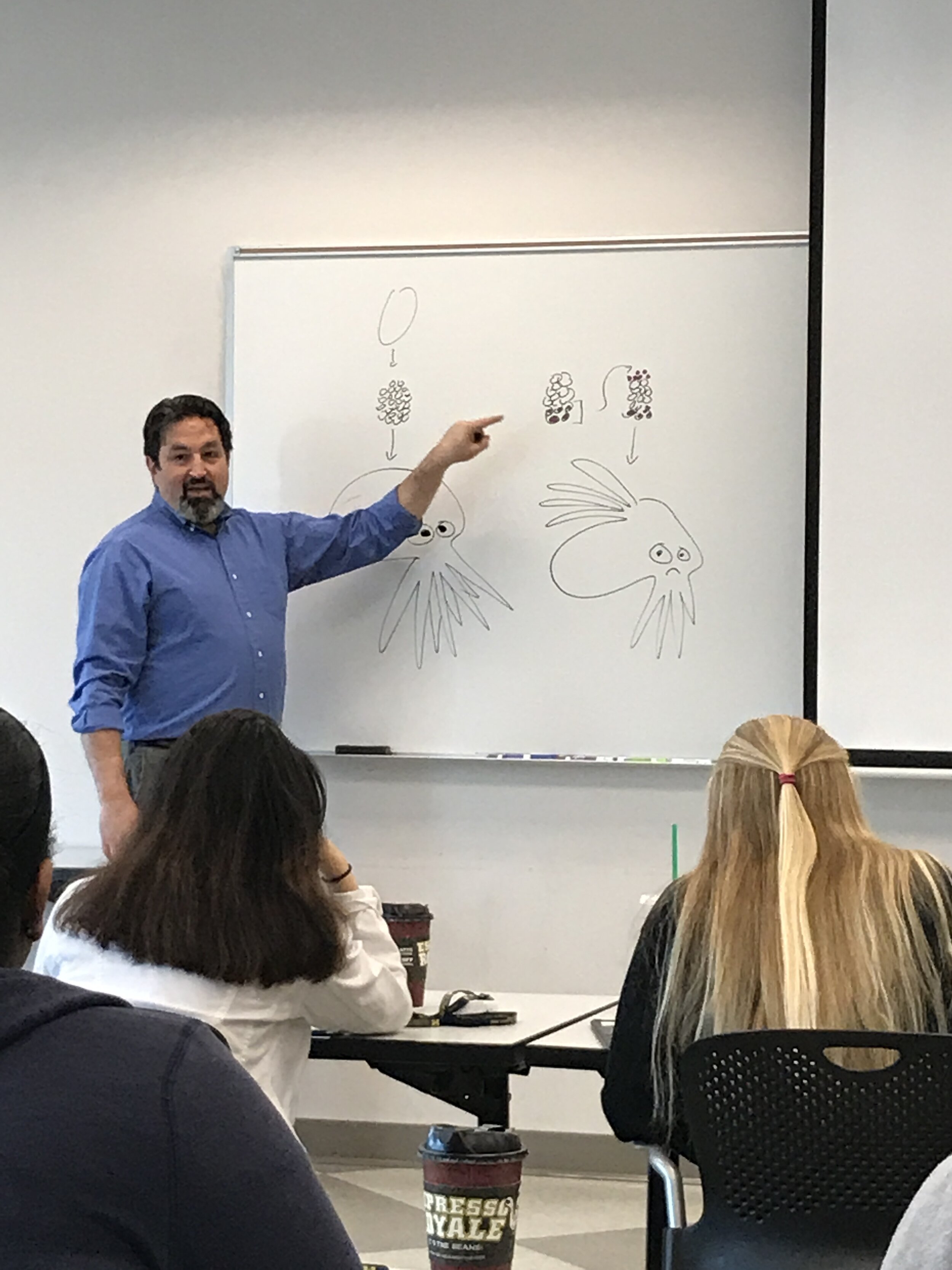  Dr. Scott Barolo illustrates developmental biology concepts 